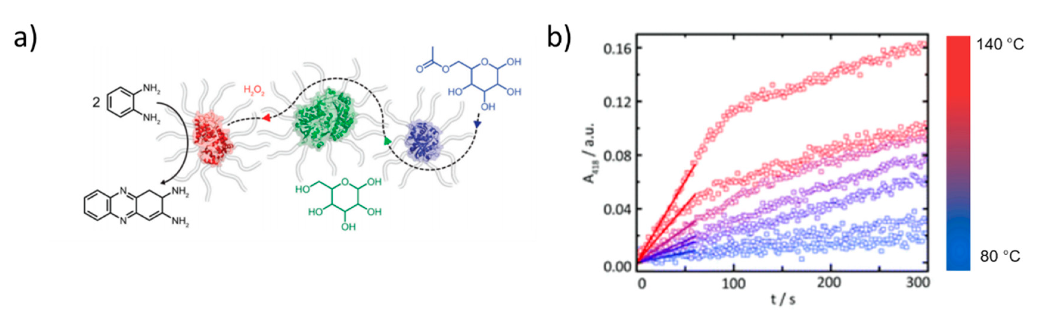 Polymers 12 01953 g005