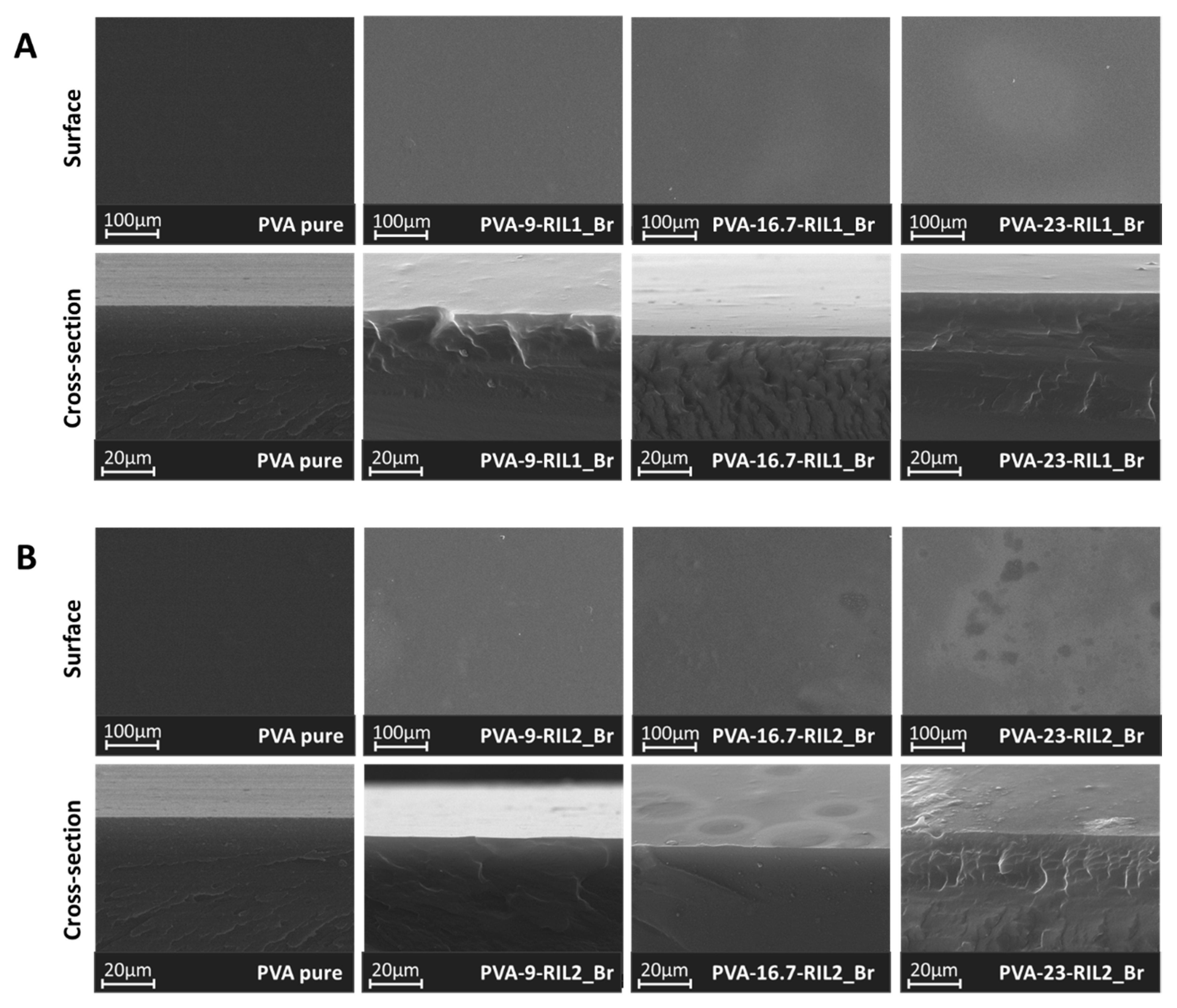 Polymers 12 01958 g010