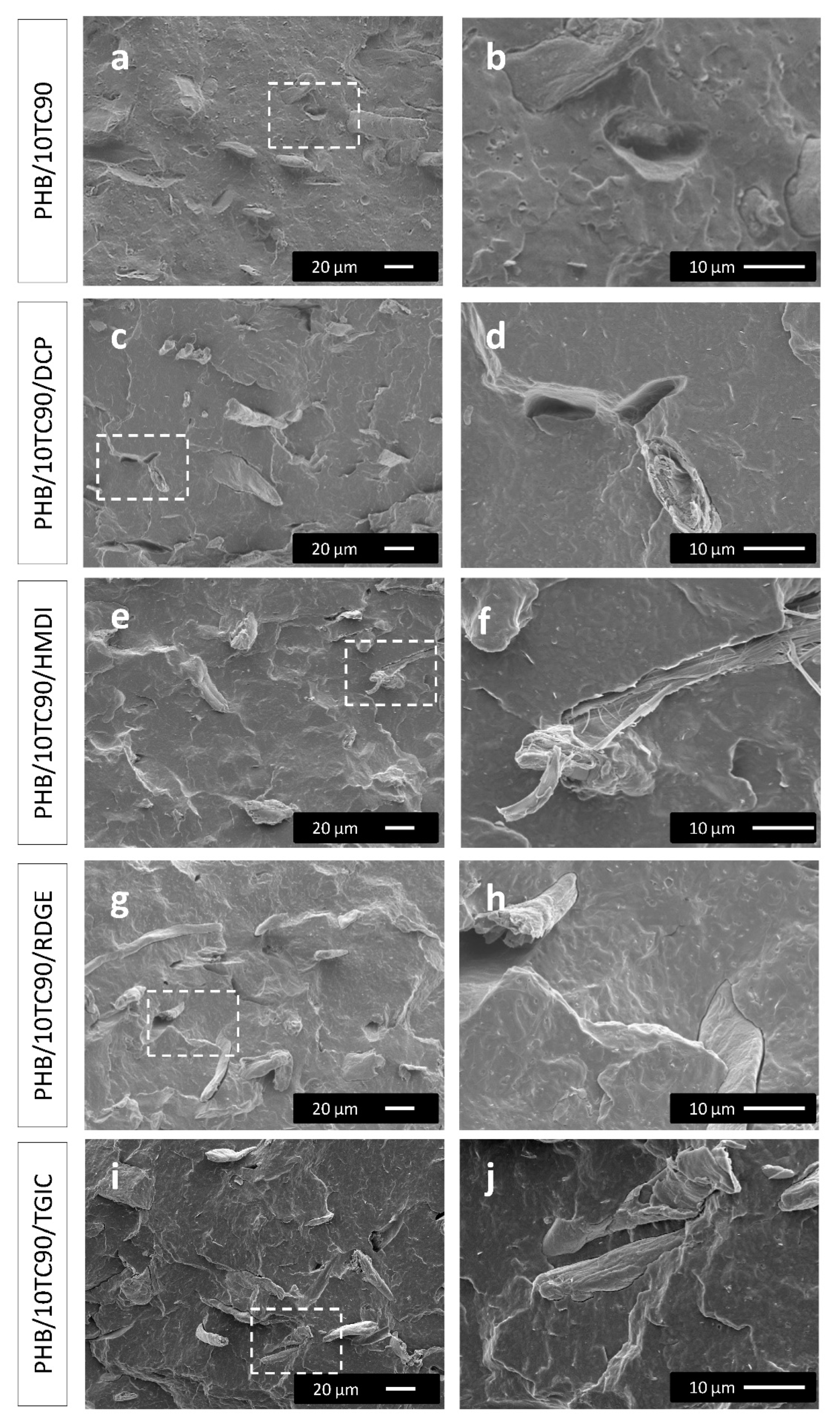 Polymers 12 01967 g002