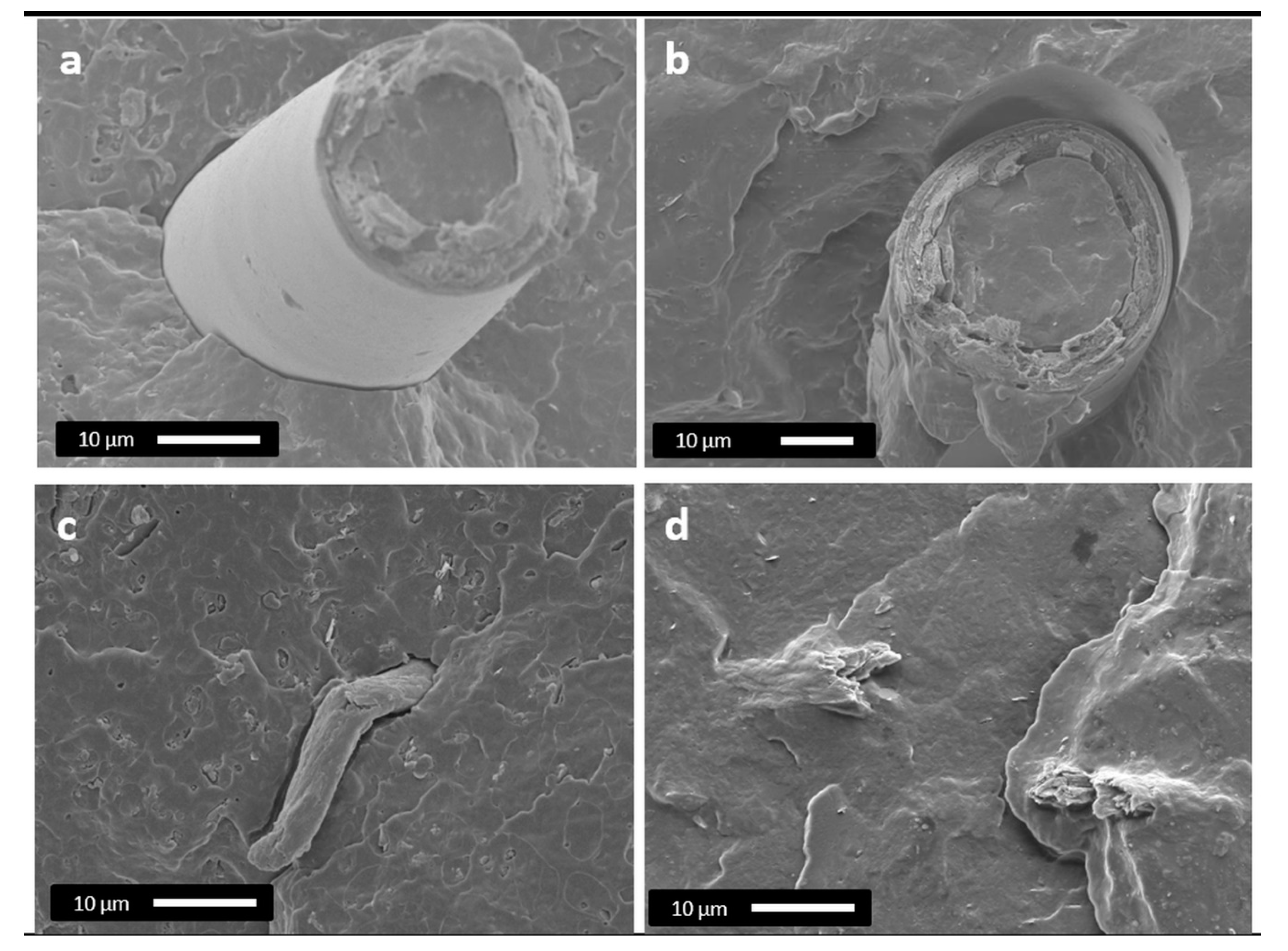 Polymers 12 01967 g006