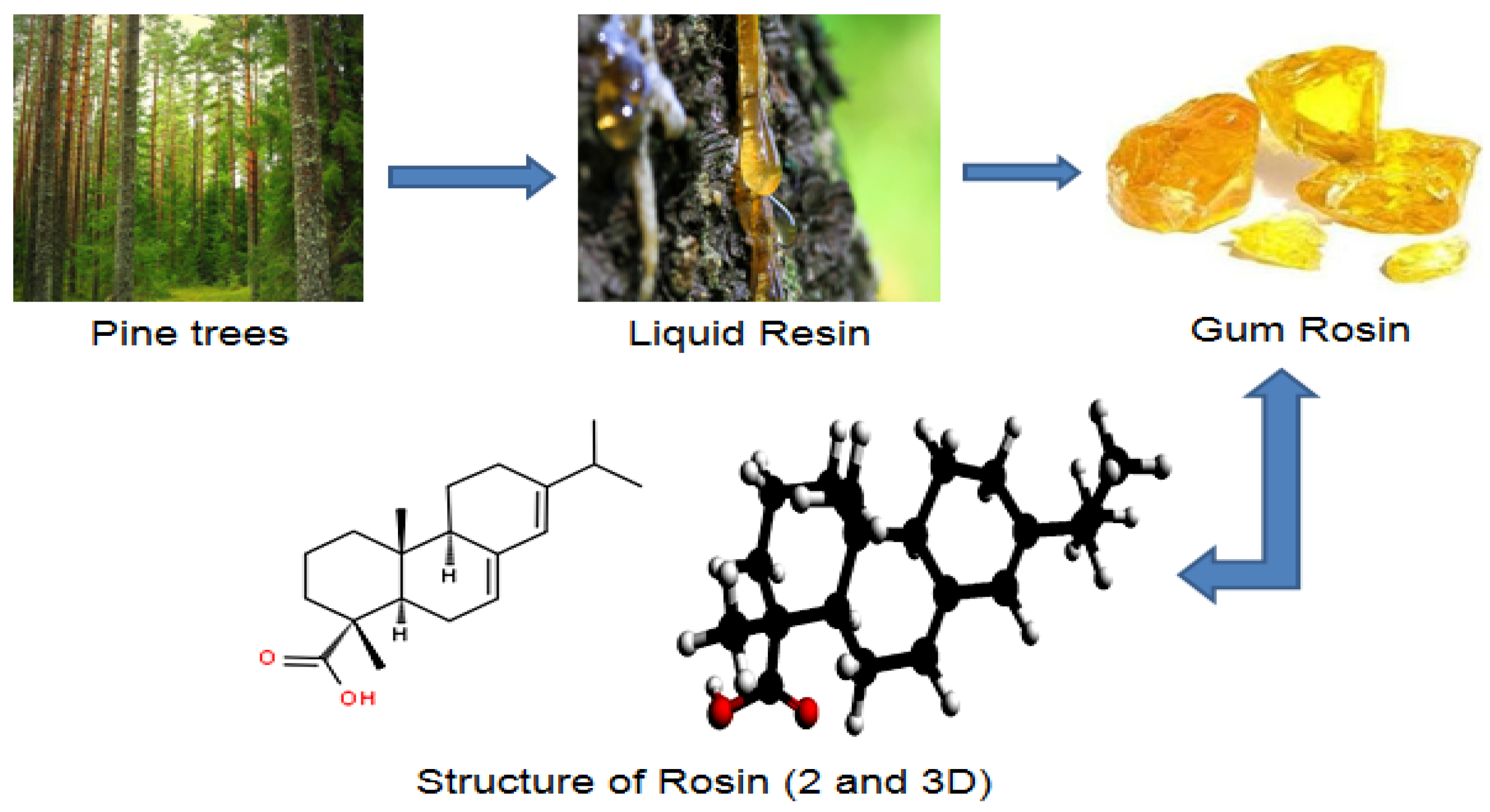 Polymers 12 01971 sch001 Polymers 12 01971 sch001