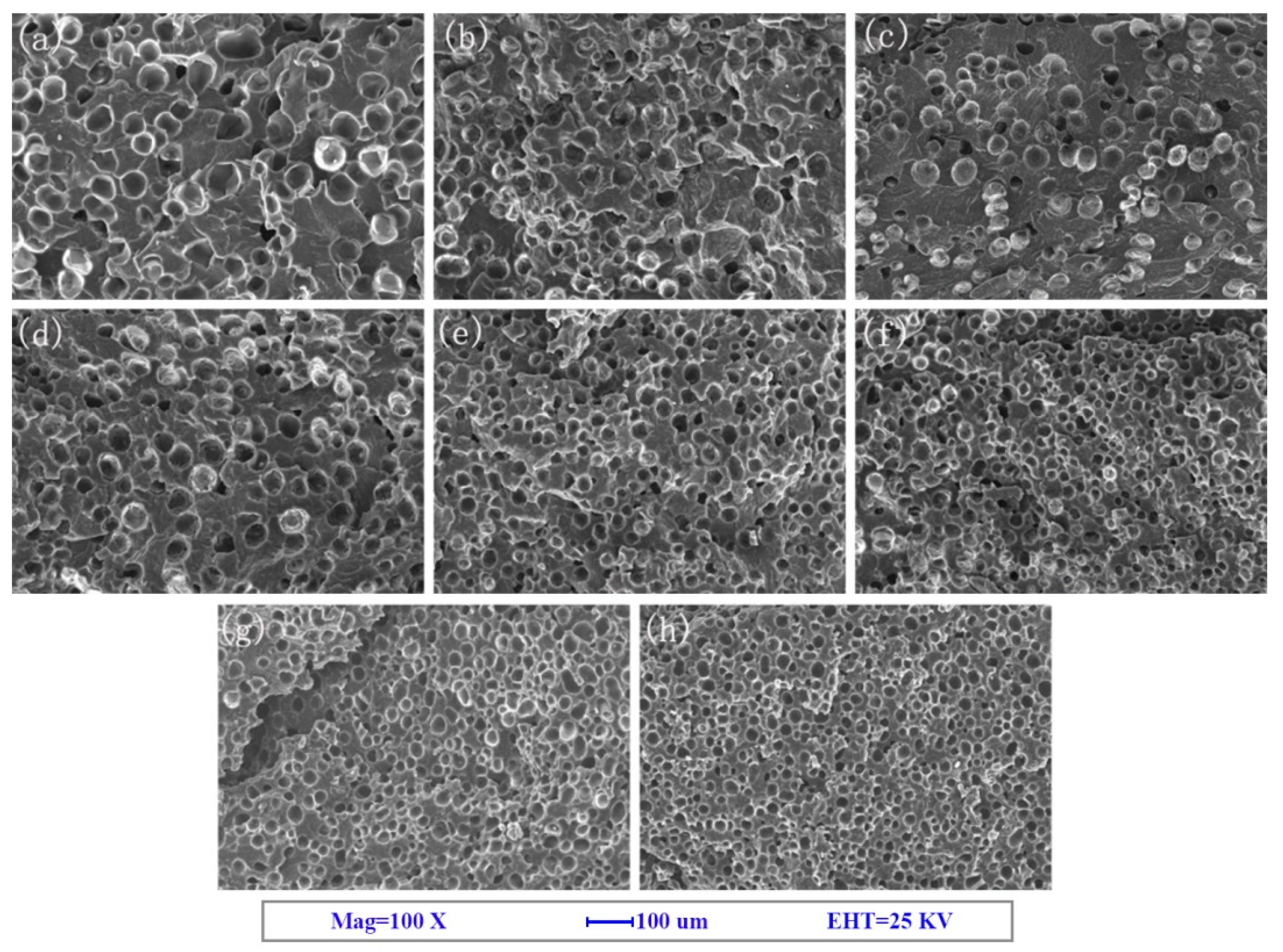 Polymers 12 01975 g004 Polymers 12 01975 g004