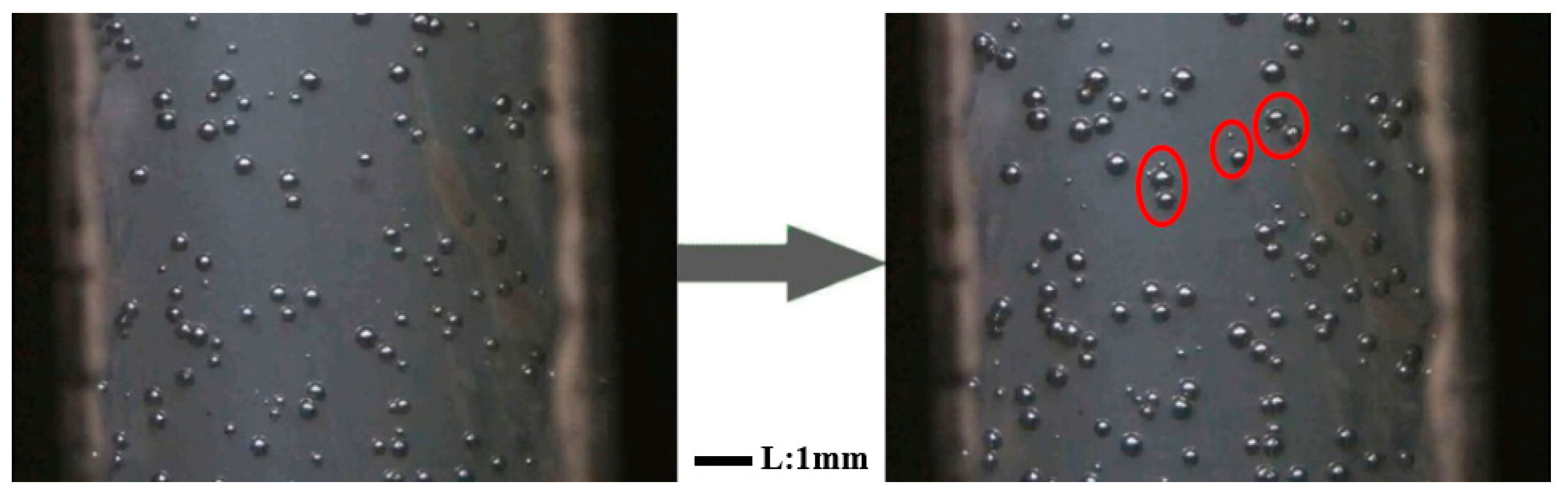 Polymers 12 01975 g013 Polymers 12 01975 g013