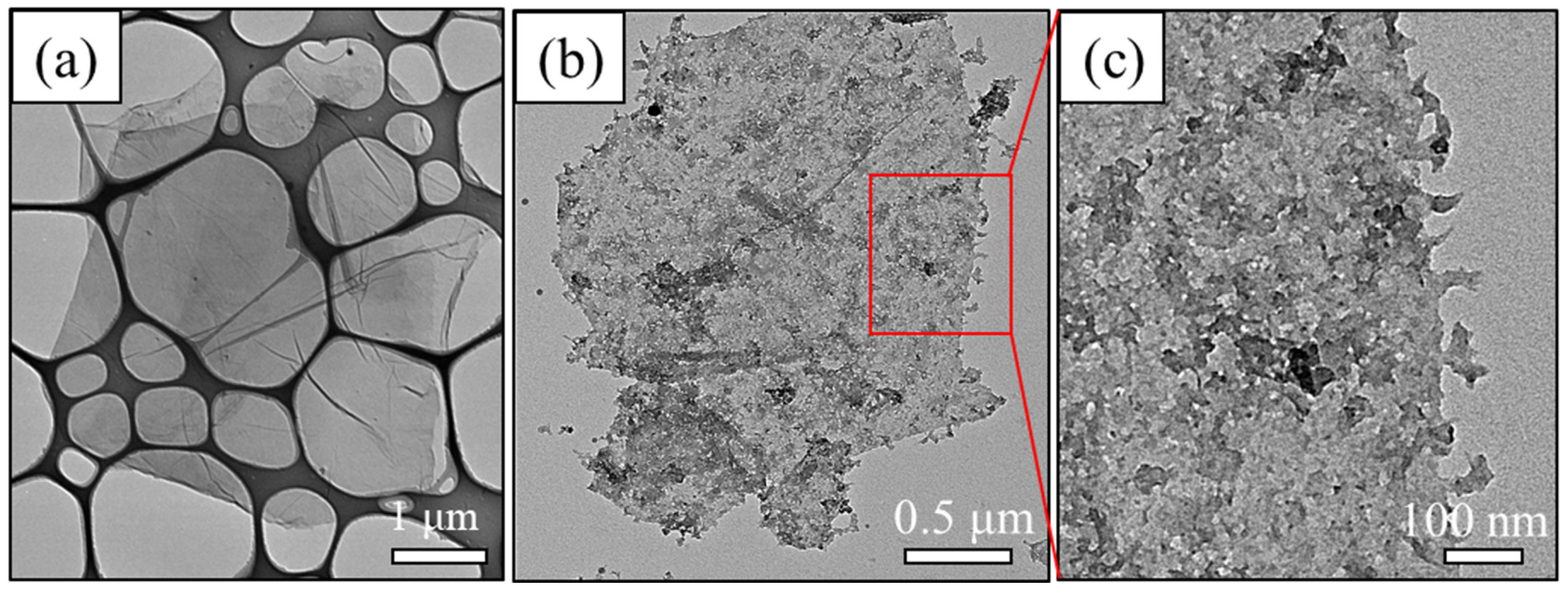 Polymers 12 01984 g002