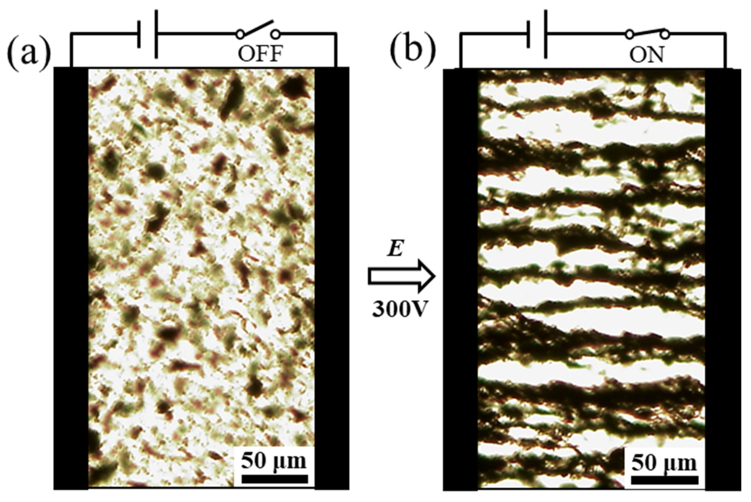 Polymers 12 01984 g004