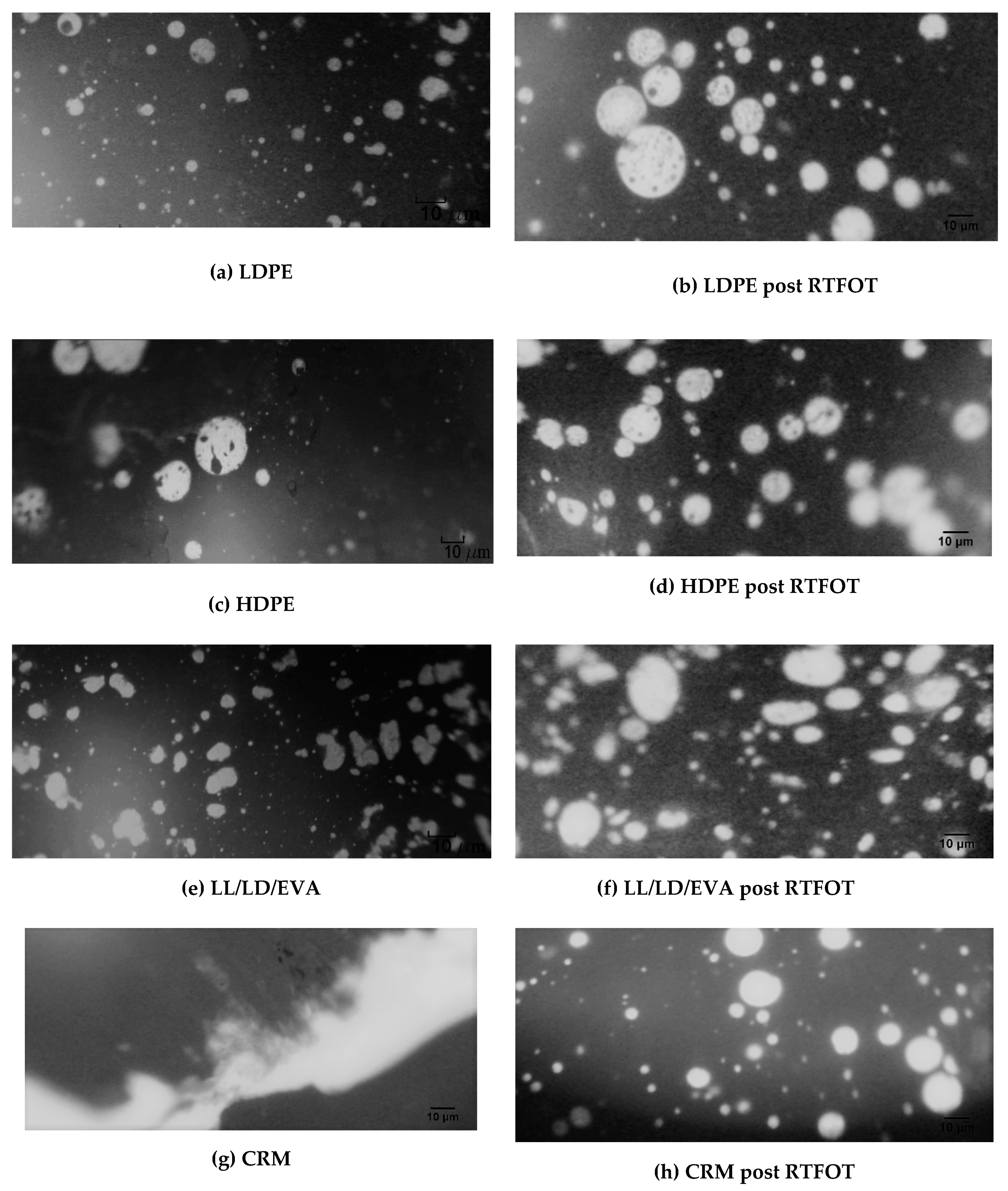 Polymers 12 01985 g012