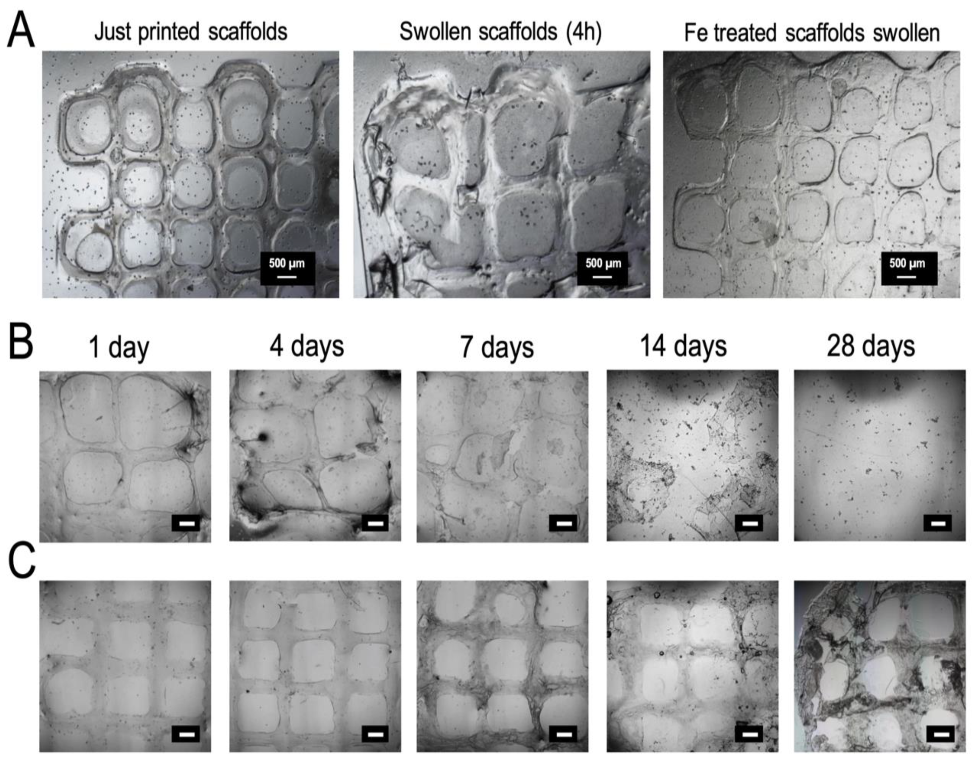 Polymers 12 01986 g006 Polymers 12 01986 g006