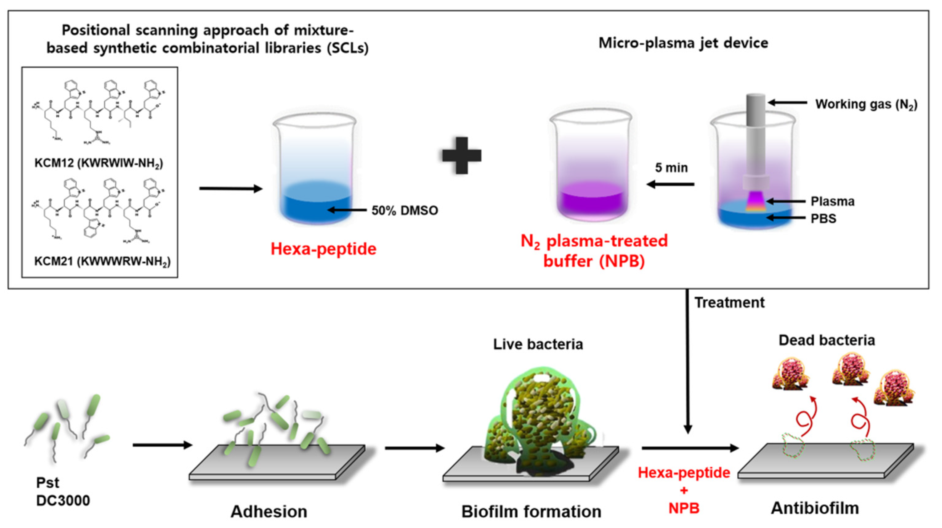 Polymers 12 01992 g001