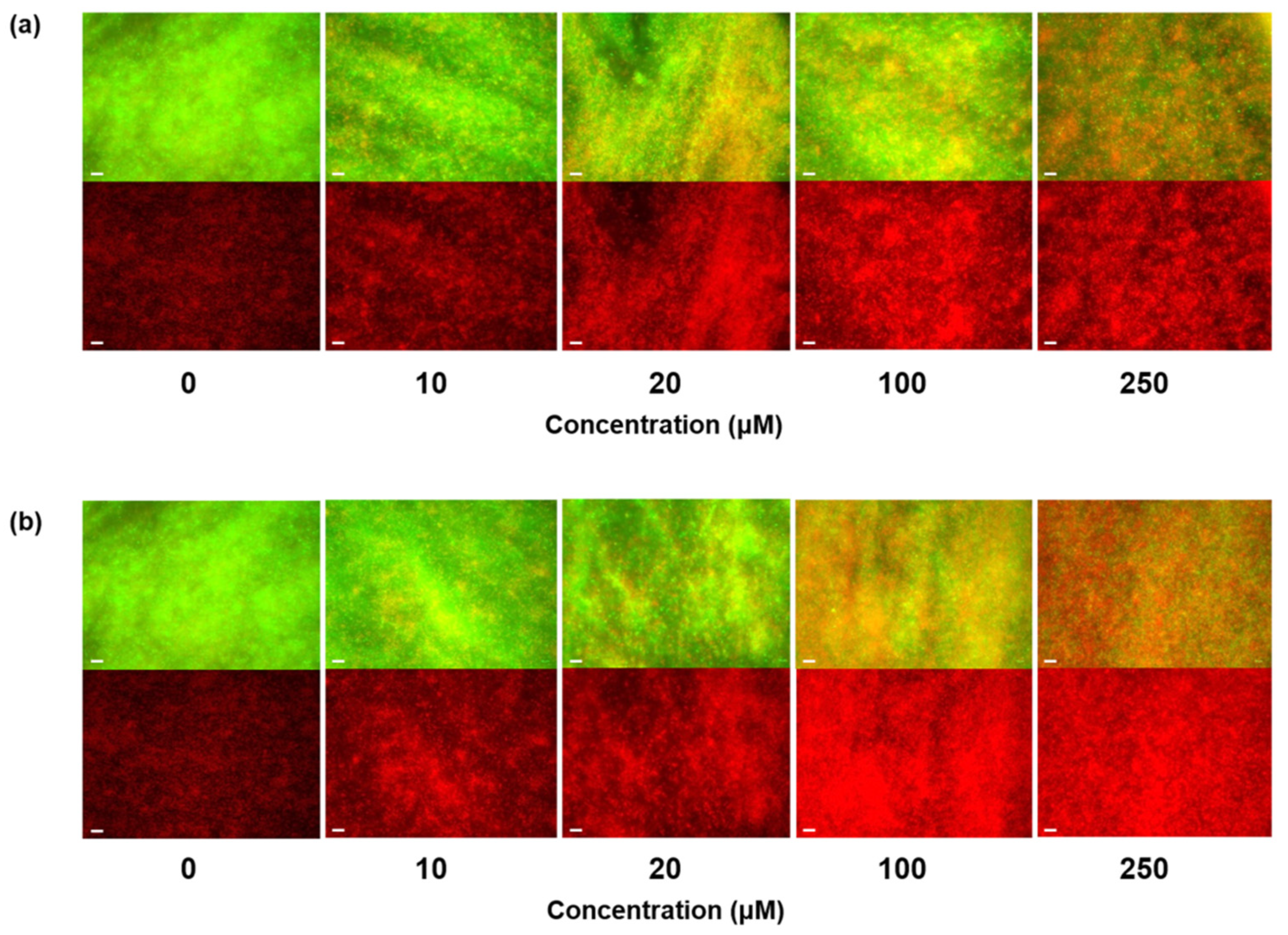 Polymers 12 01992 g004