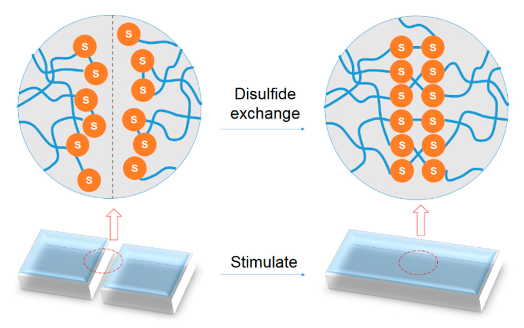 Polymers 12 01996 g005 Polymers 12 01996 g005