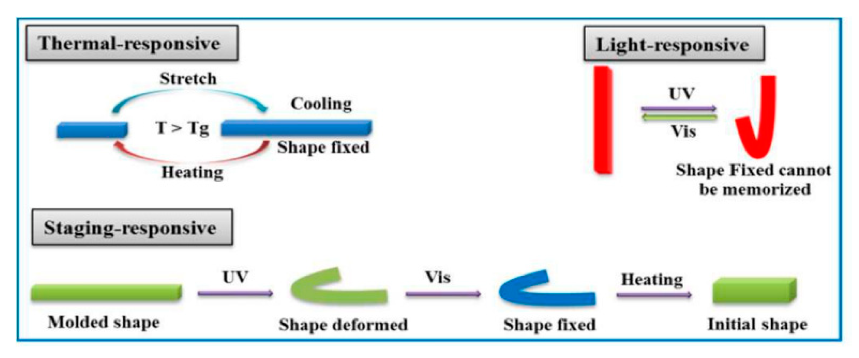 Polymers 12 01996 g011 Polymers 12 01996 g011