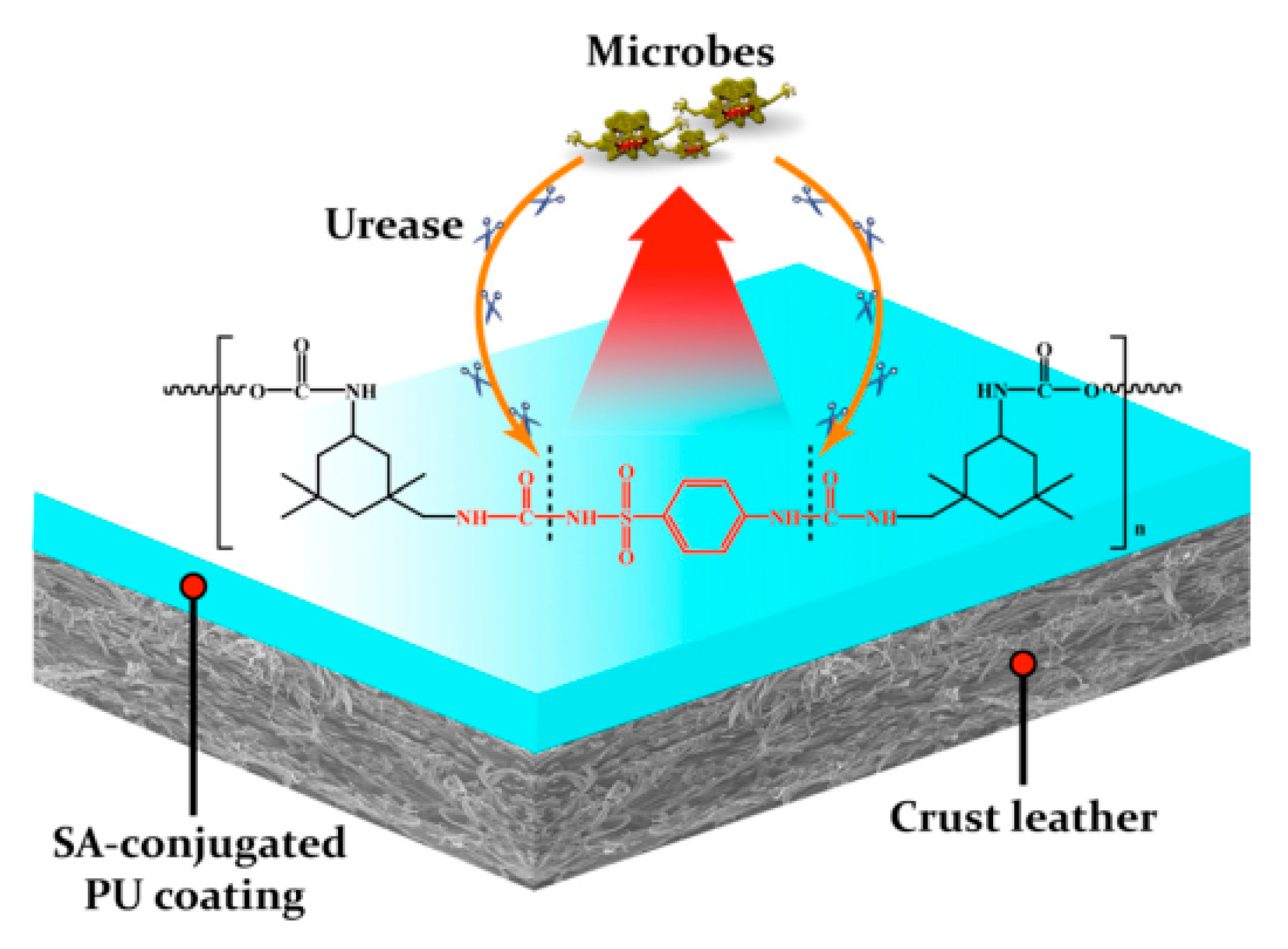 Polymers 12 01996 g014 Polymers 12 01996 g014