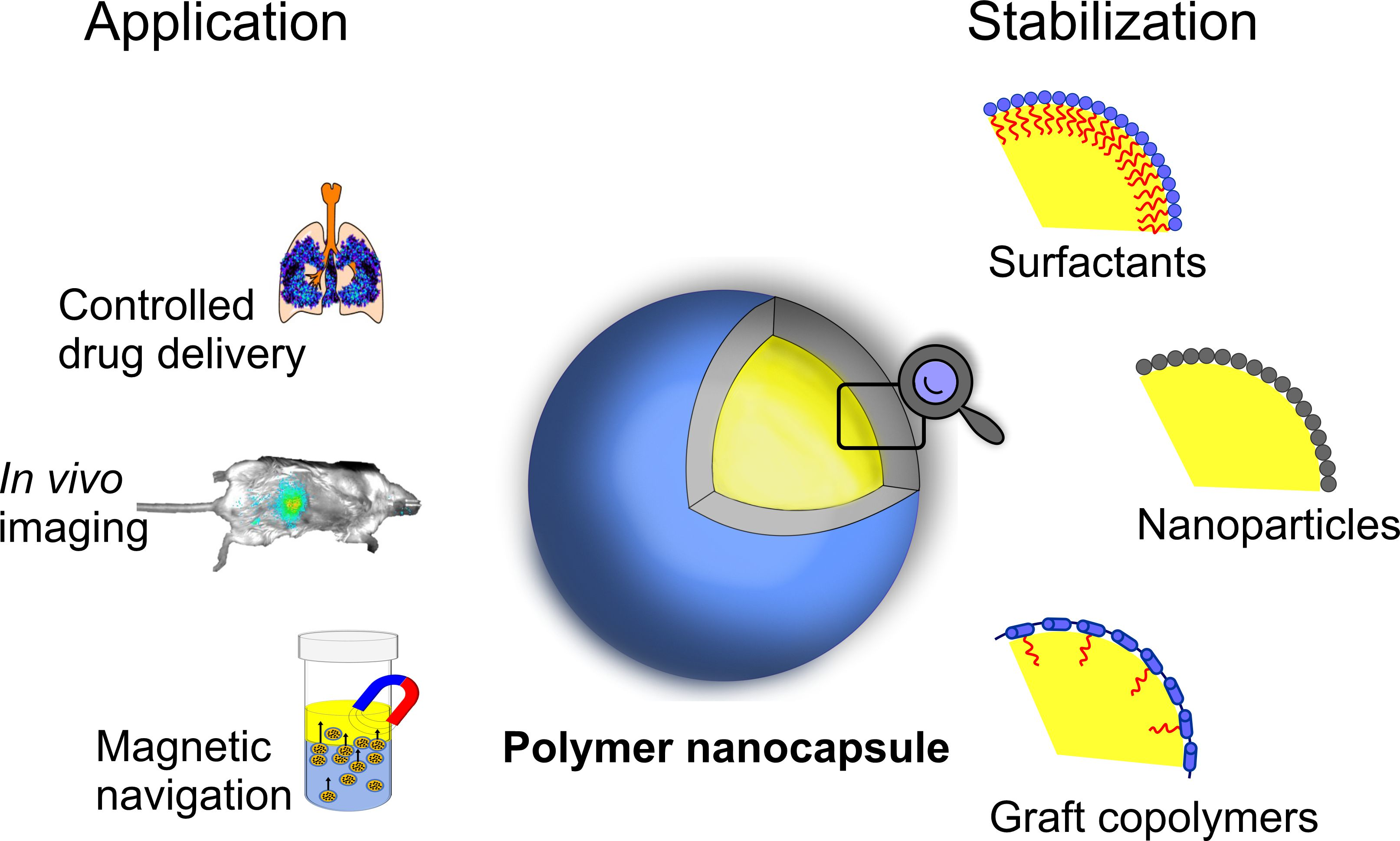 Polymers Free FullText Polymer Capsules with Hydrophobic Liquid