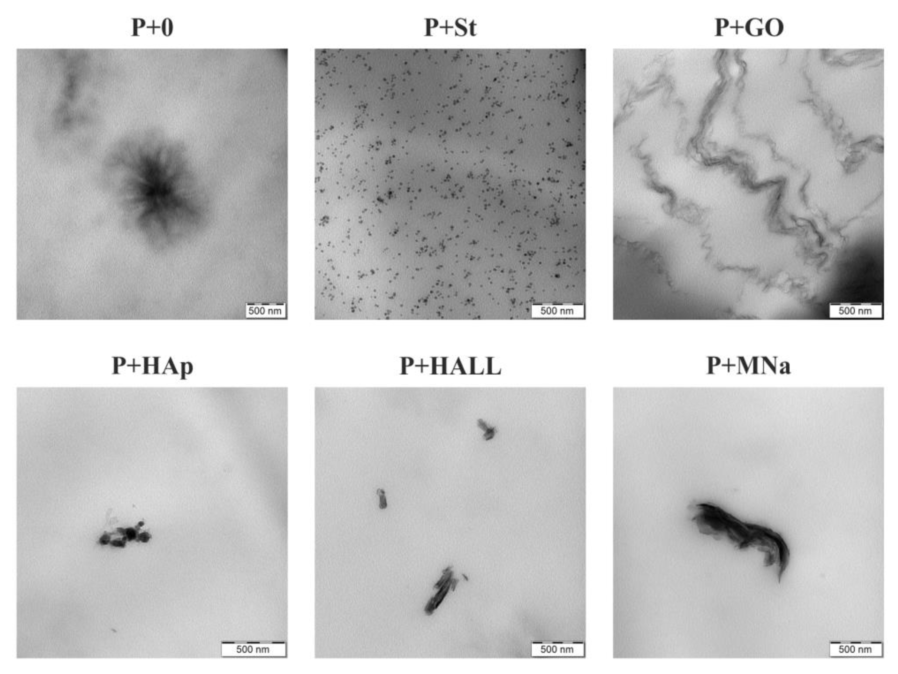 Polymers 12 02001 g007 550