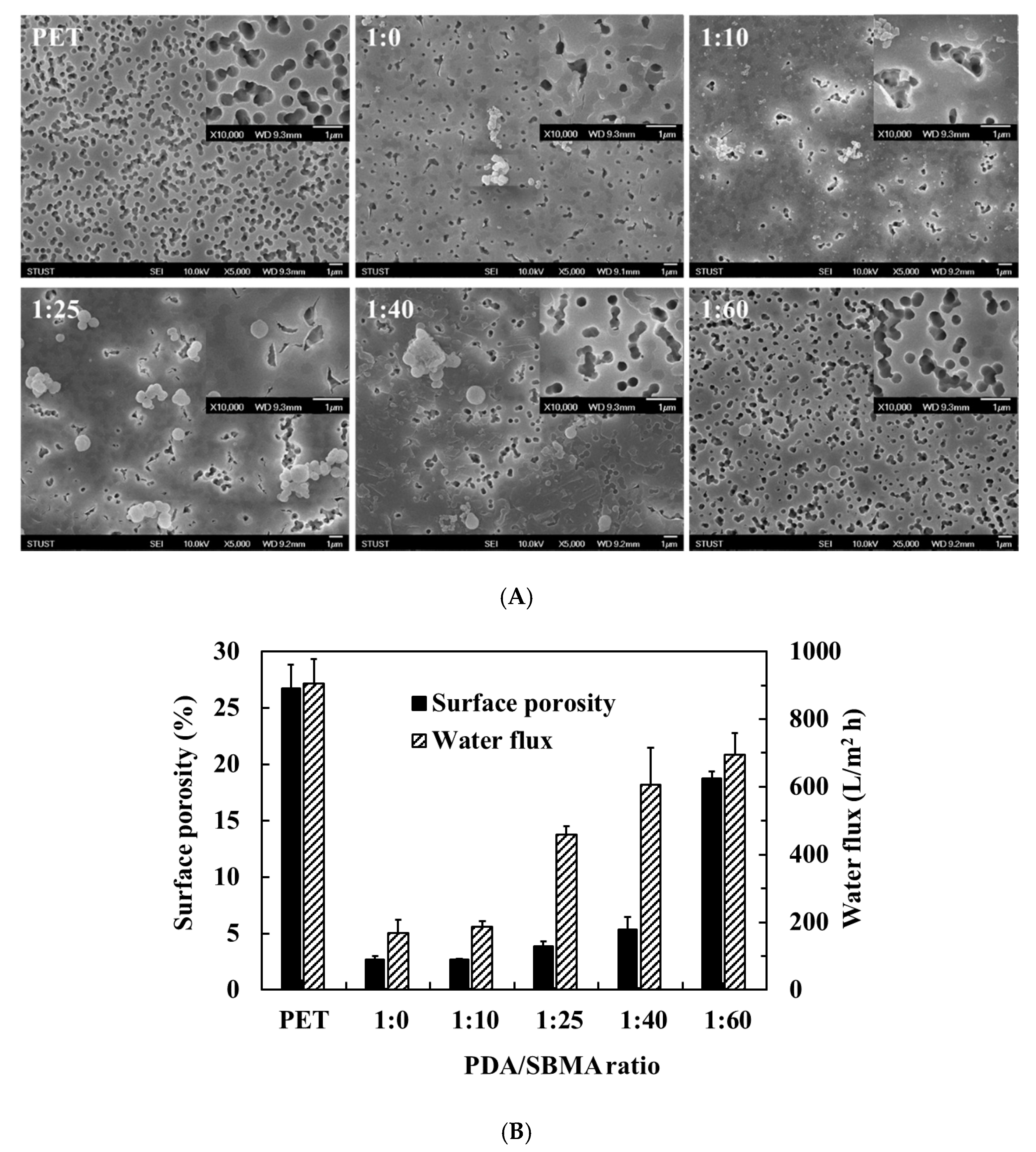 Polymers 12 02008 g007 Polymers 12 02008 g007