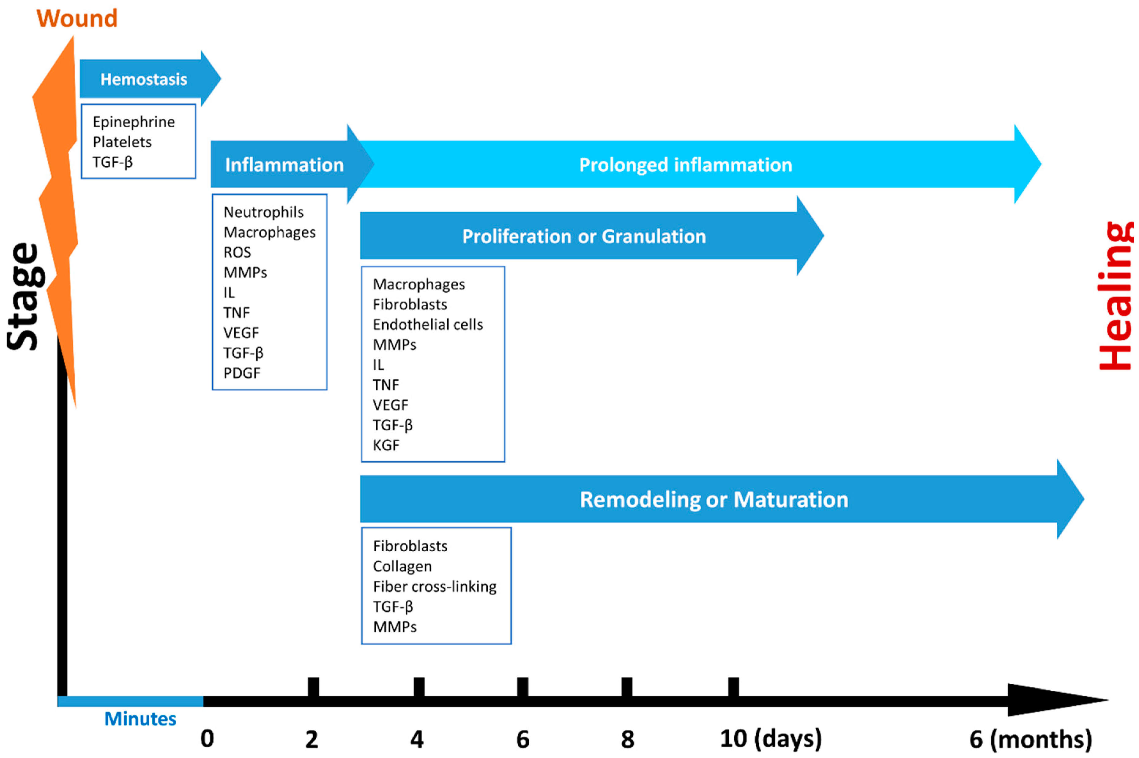 Polymers 12 02010 g002 Polymers 12 02010 g002