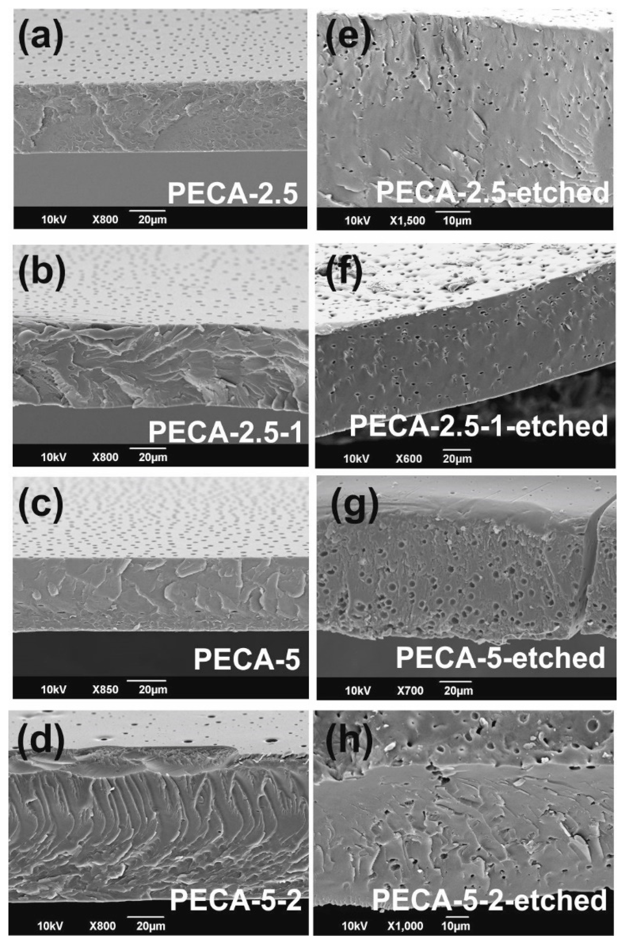 Polymers Free Full Text Uv Blocking Transparent And Antioxidant Polycyanoacrylate Films Html Polymers Free Full Text Uv Blocking Transparent And Antioxidant Polycyanoacrylate Films Html