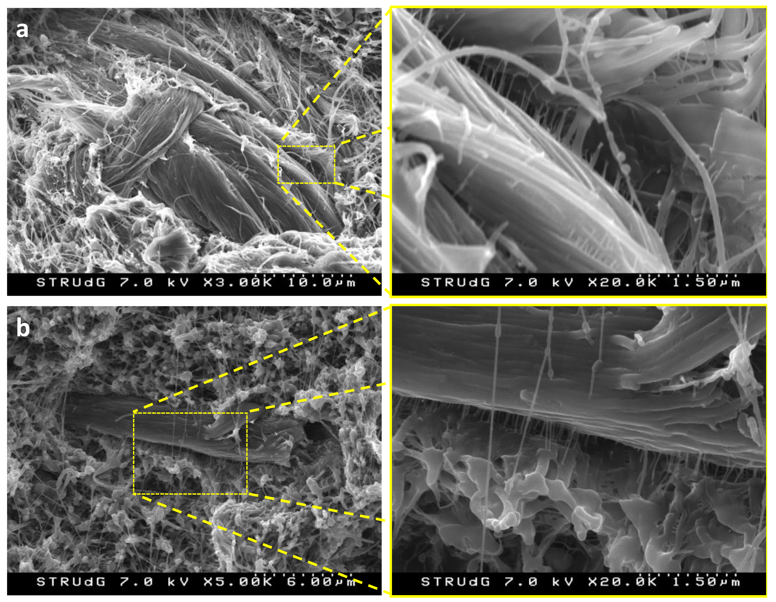 Polymers 12 02016 g005 Polymers 12 02016 g005