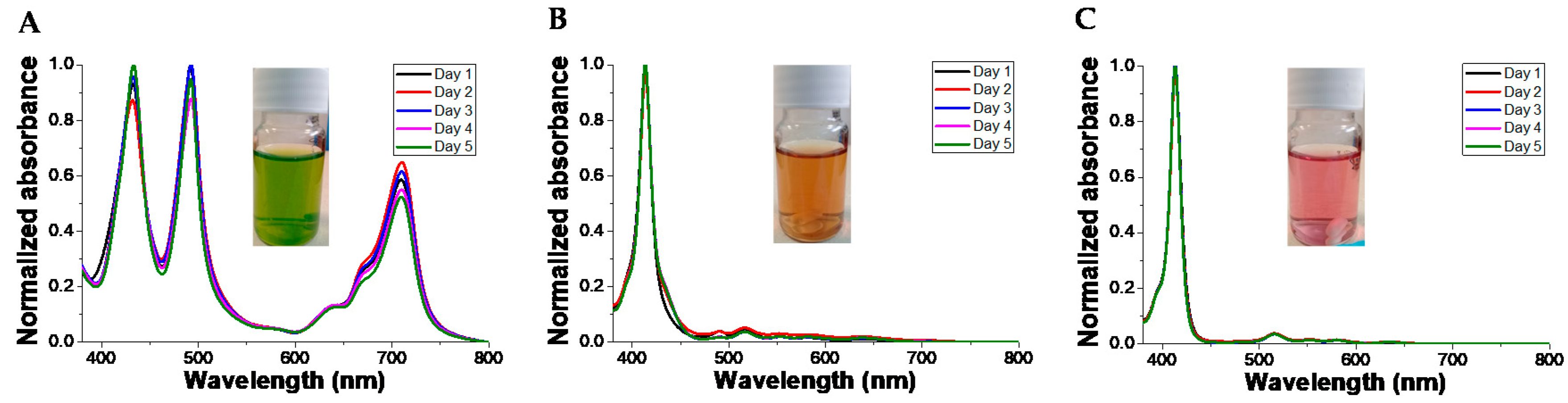 Polymers 12 02017 g008 Polymers 12 02017 g008