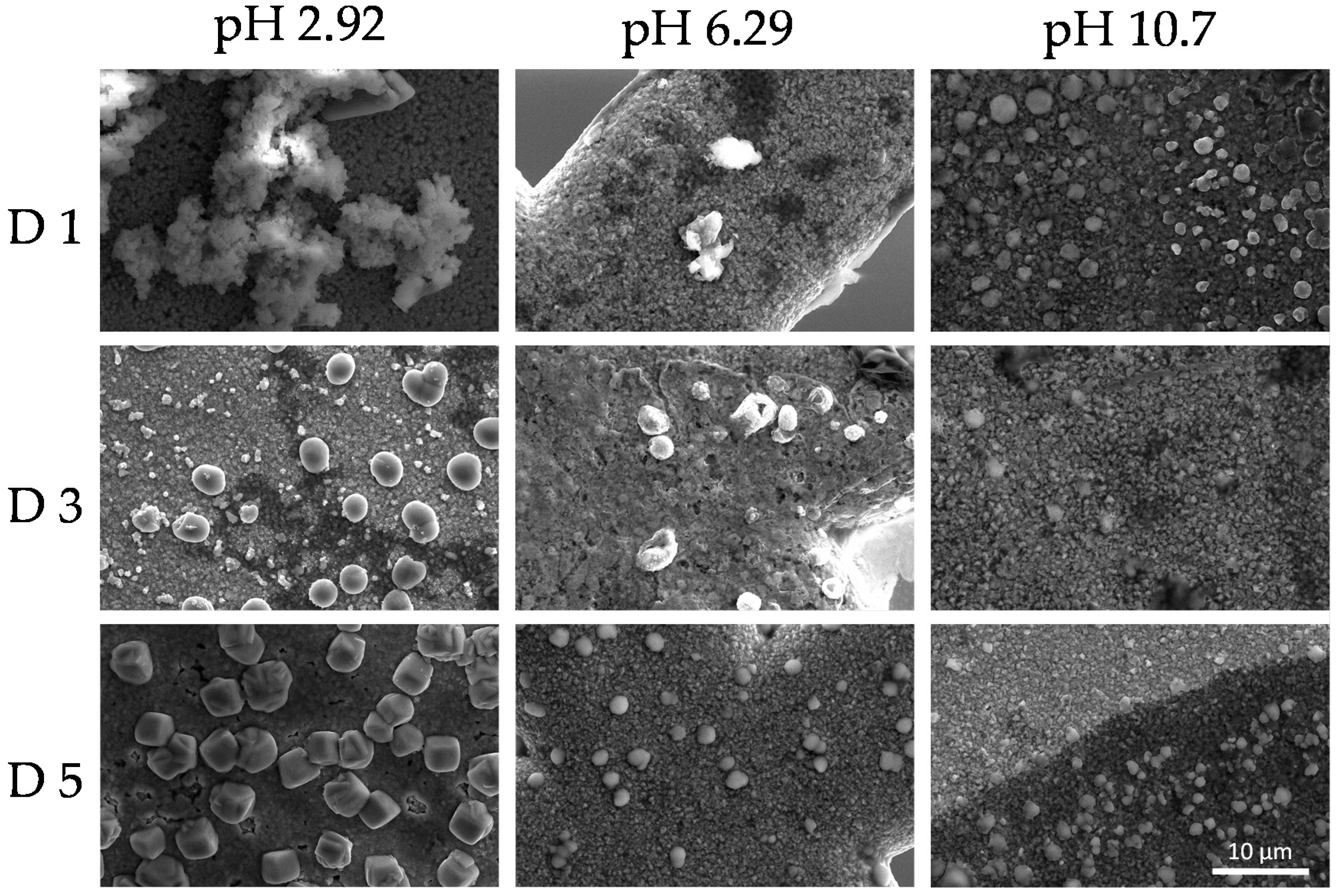 Polymers 12 02017 g009 Polymers 12 02017 g009