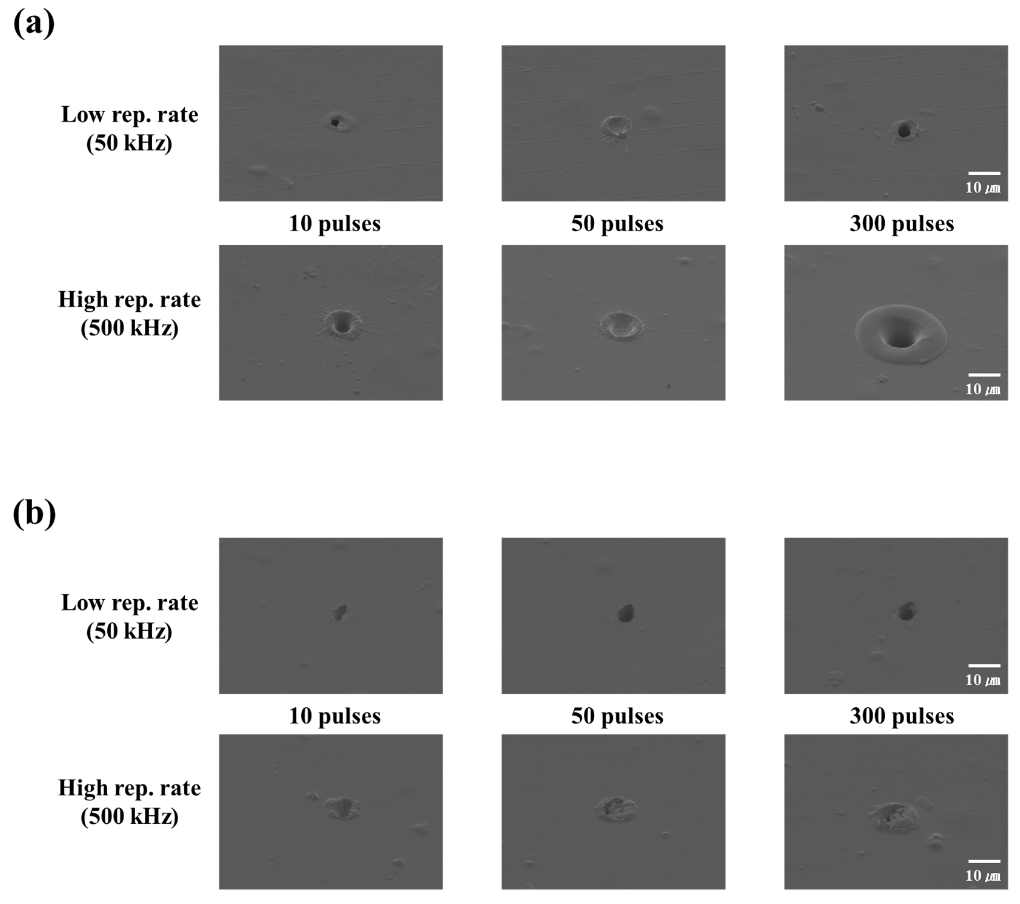 Polymers 12 02018 g004