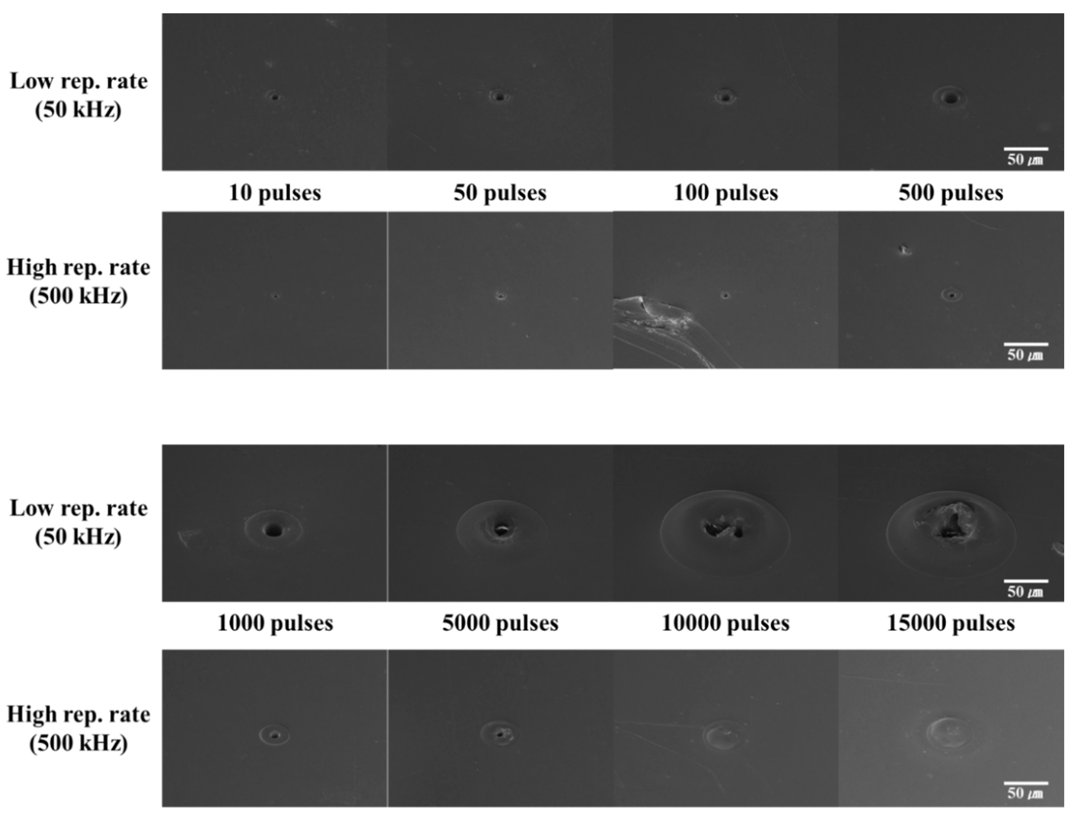 Polymers 12 02018 g005