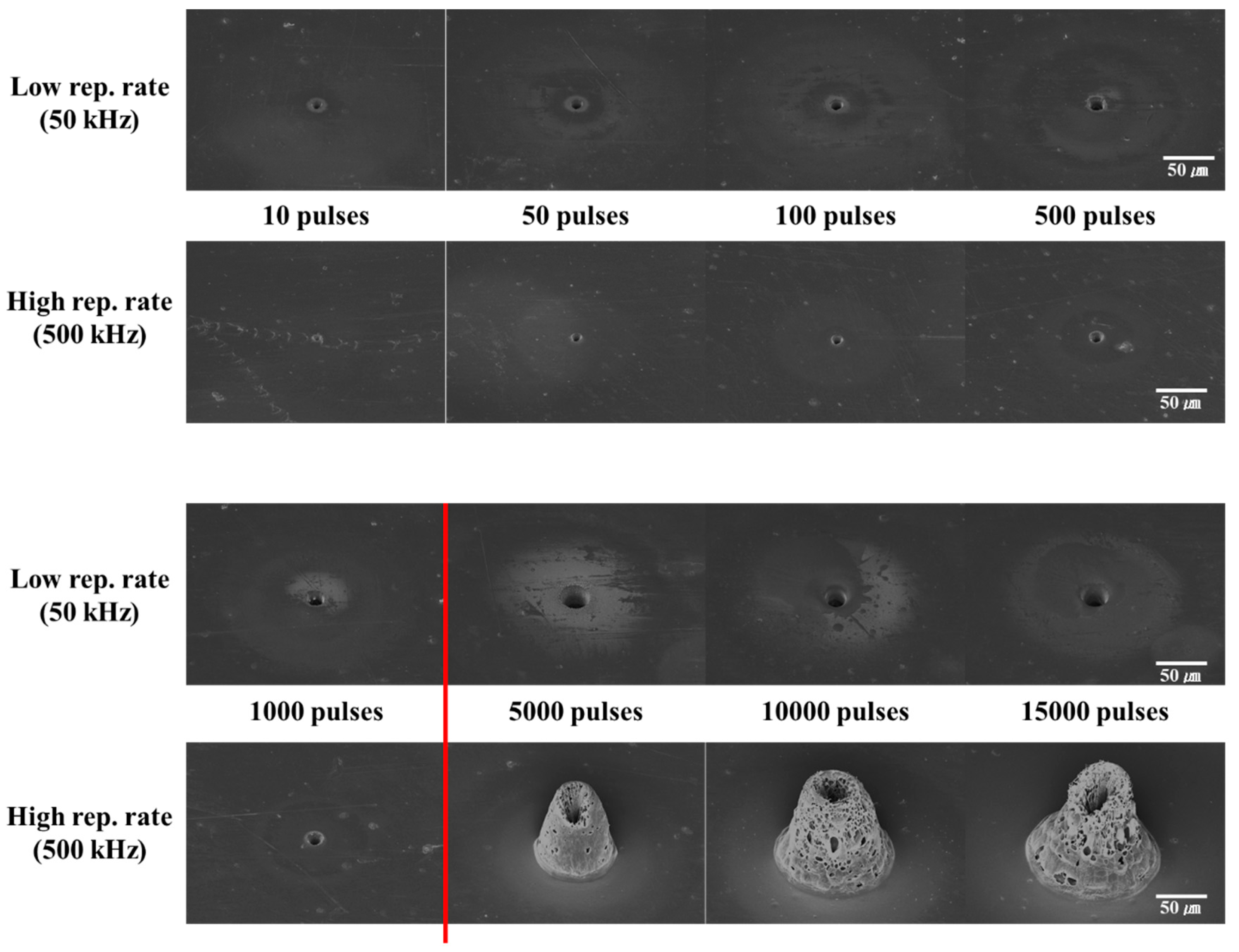 Polymers 12 02018 g006