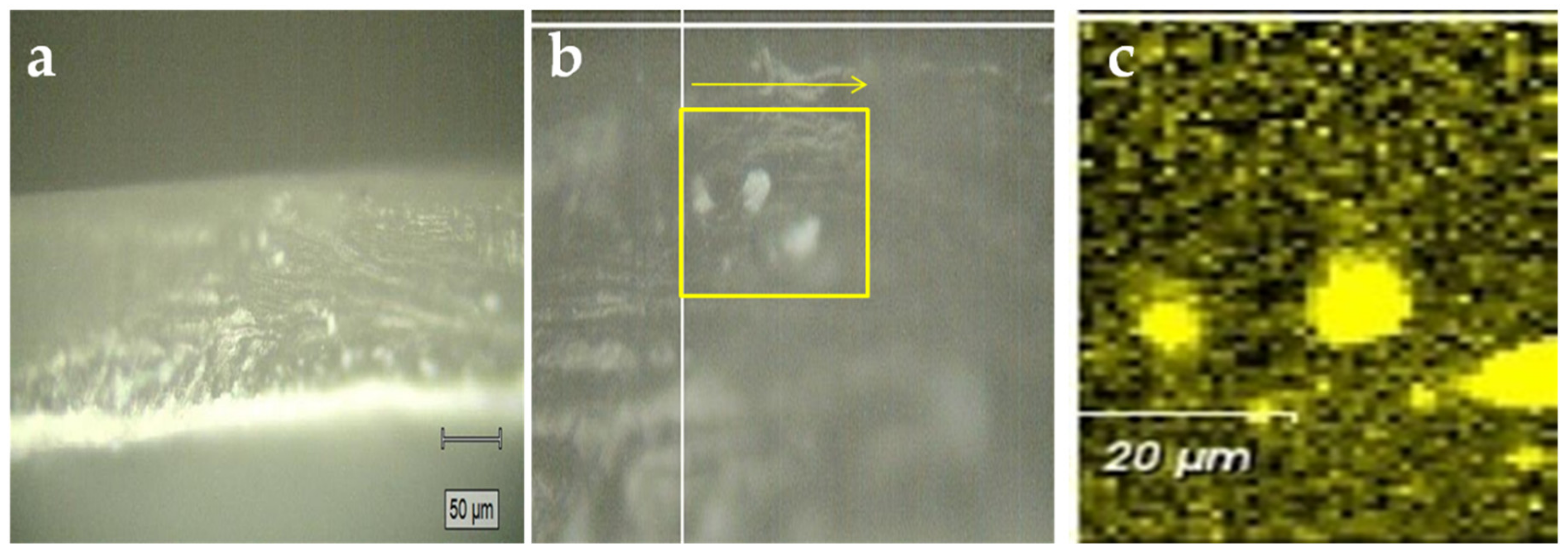 Polymers 12 02019 g004