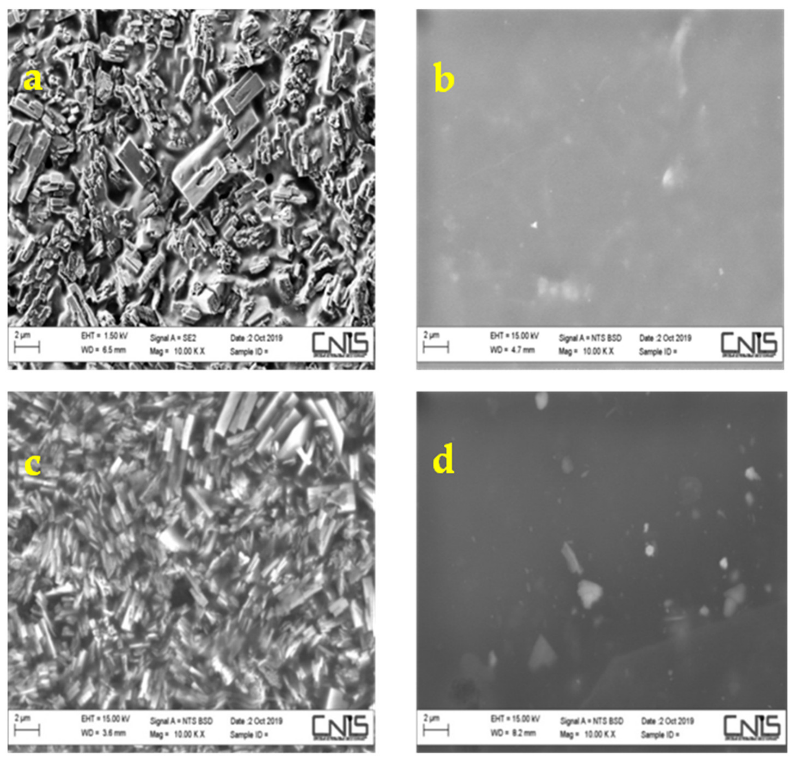 Polymers 12 02019 g008