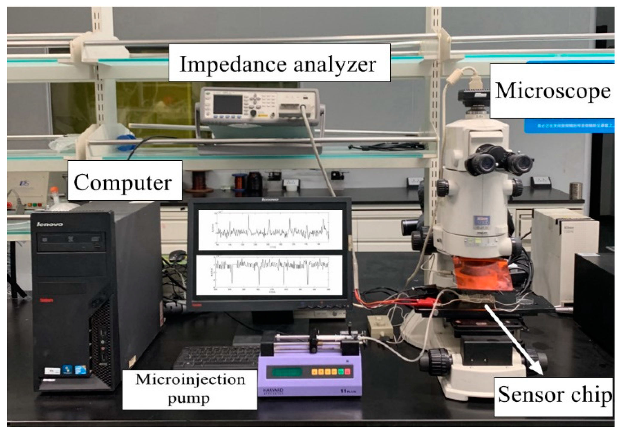 Polymers 12 02022 g005 Polymers 12 02022 g005