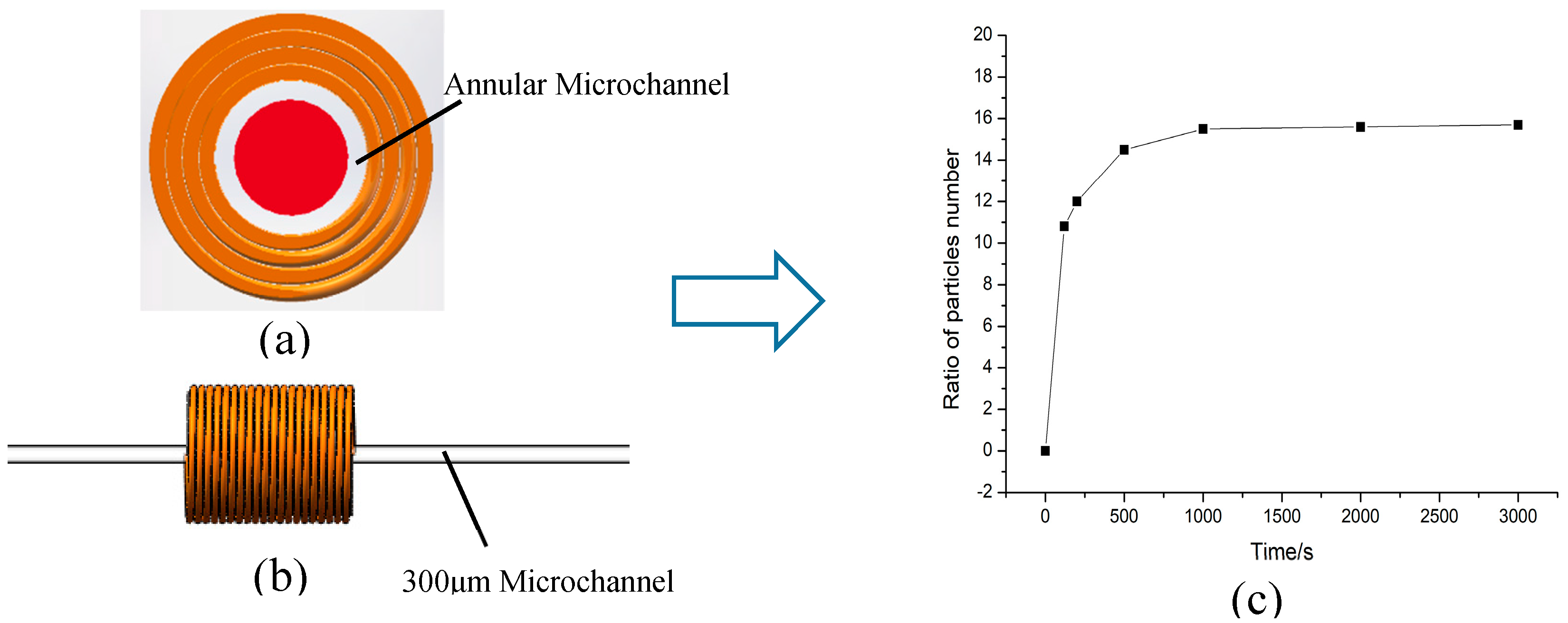 Polymers 12 02022 g012 Polymers 12 02022 g012