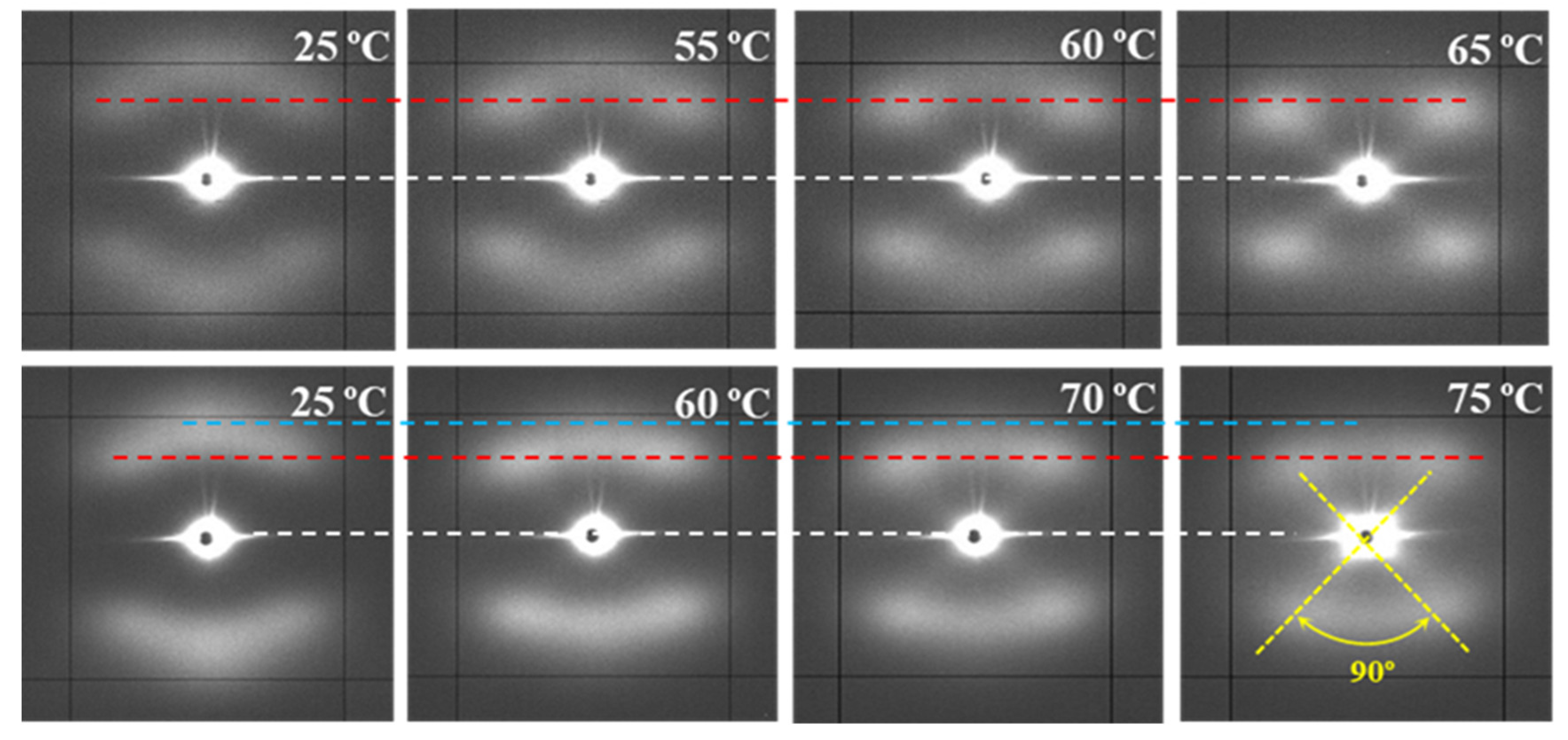 Polymers Free Full Text Microstructural Changes During Degradation Of Biobased Poly 4 Hydroxybutyrate Sutures Html Polymers Free Full Text Microstructural Changes During Degradation Of Biobased Poly 4 Hydroxybutyrate Sutures Html