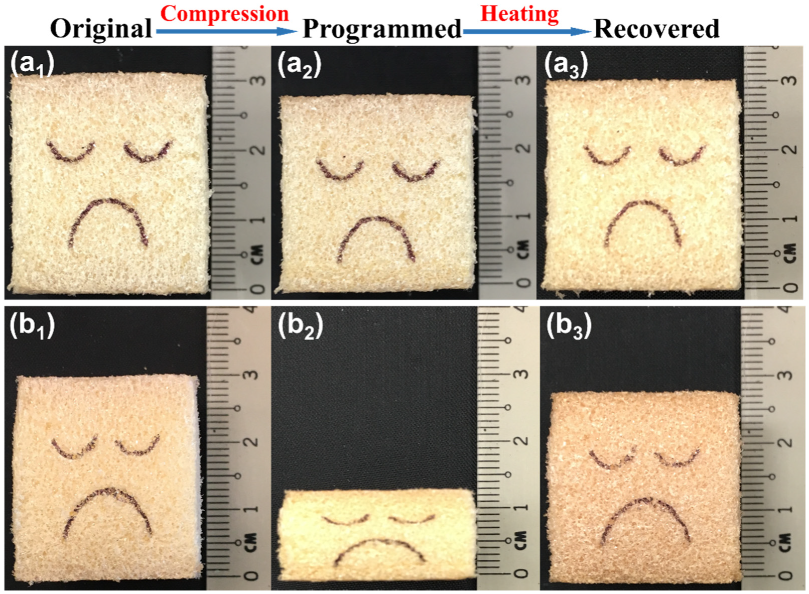 Polymers 12 02025 g006