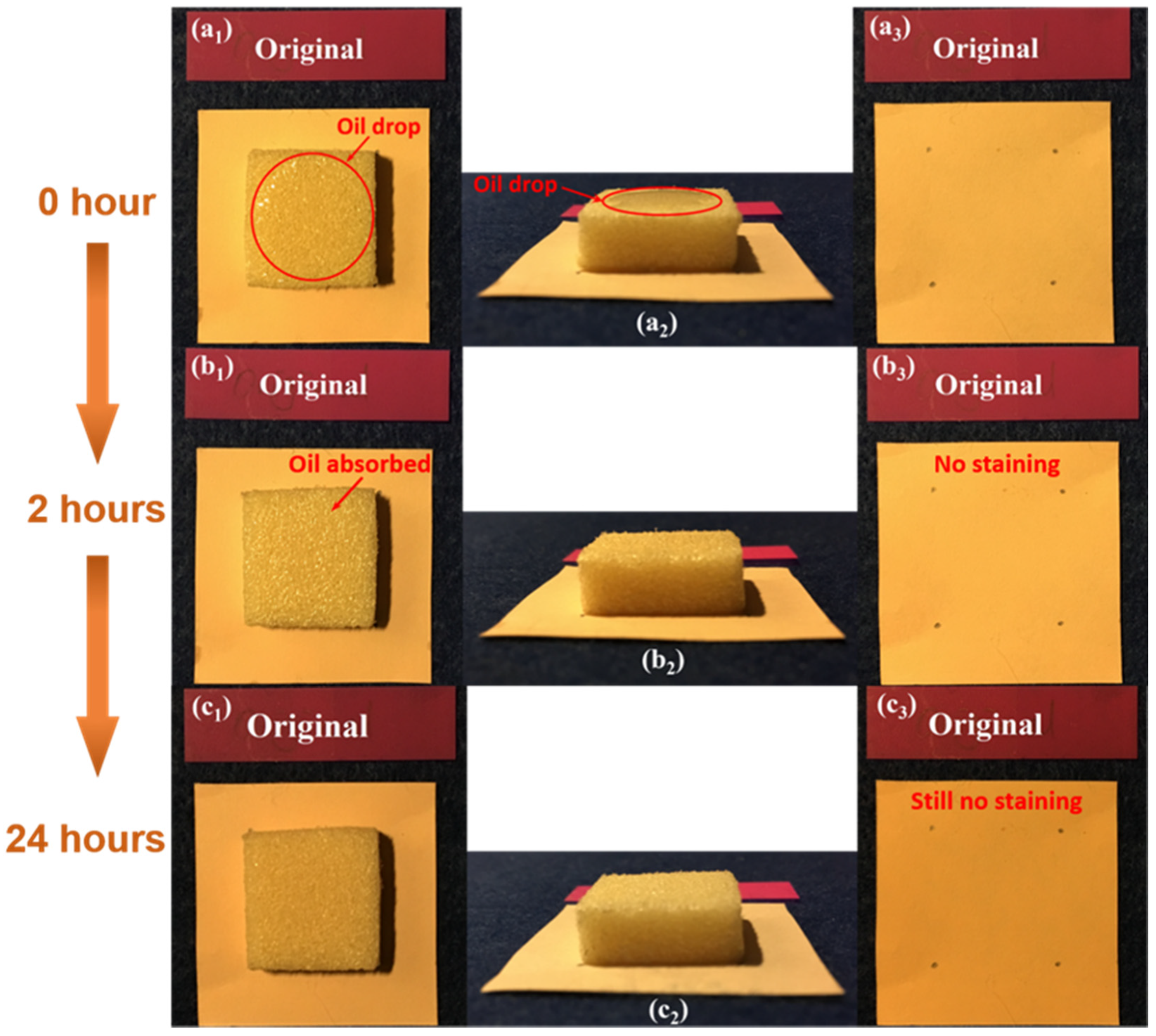 Polymers 12 02025 g010