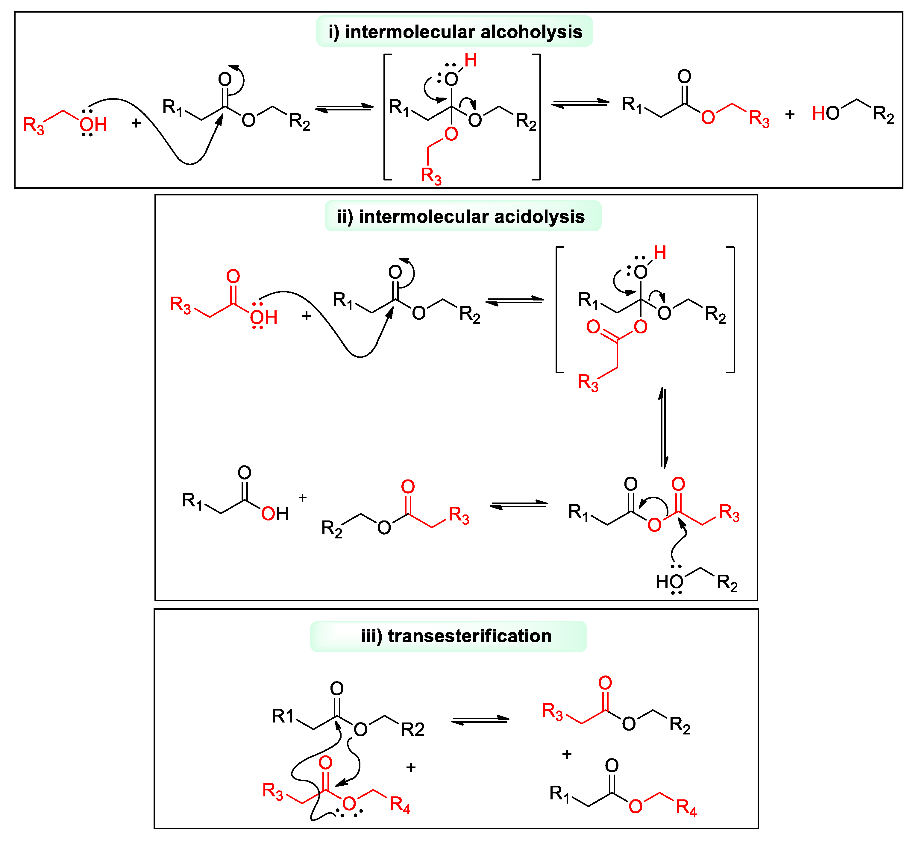 Polymers 12 02027 sch003 Polymers 12 02027 sch003