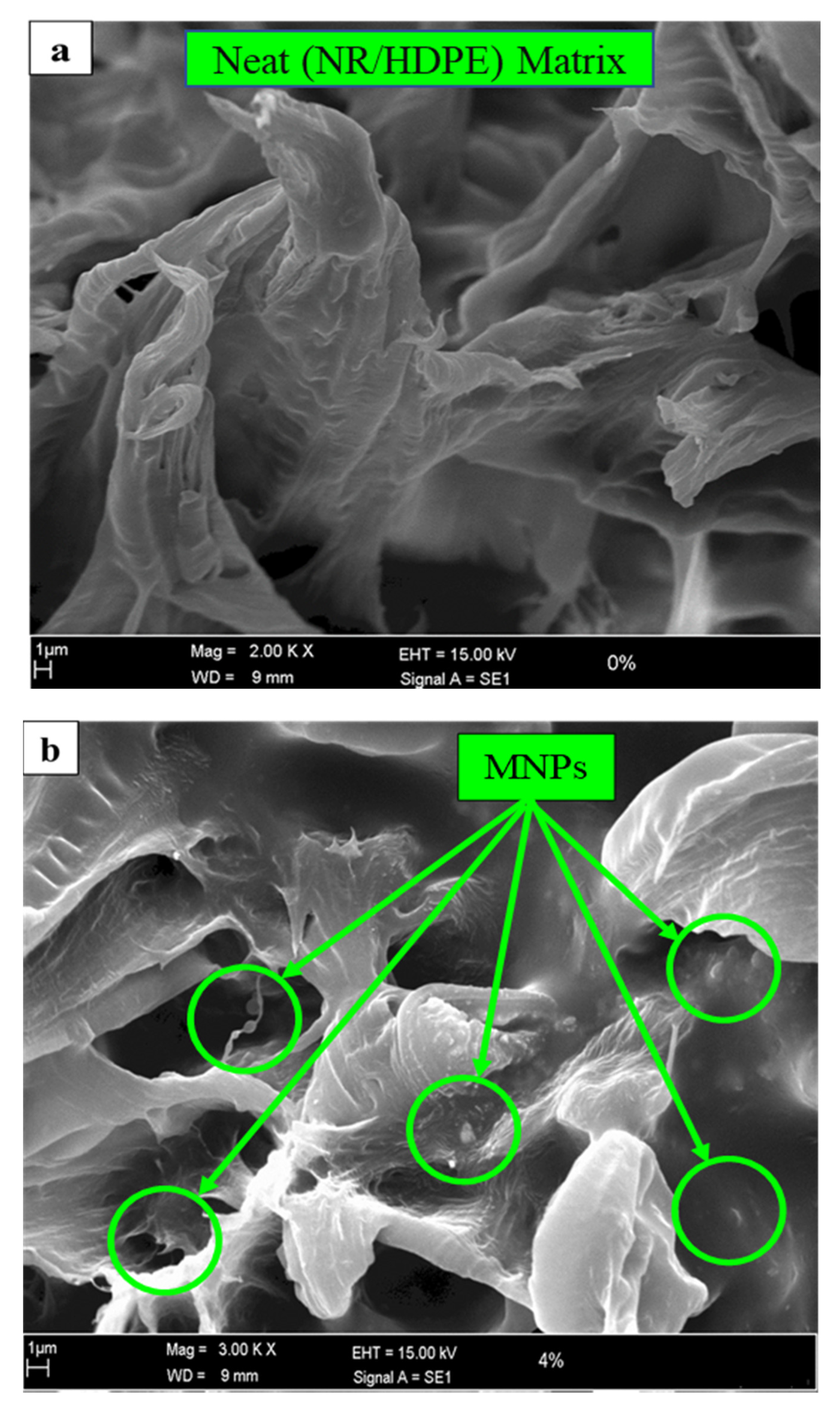 Polymers 12 02030 g002a Polymers 12 02030 g002a