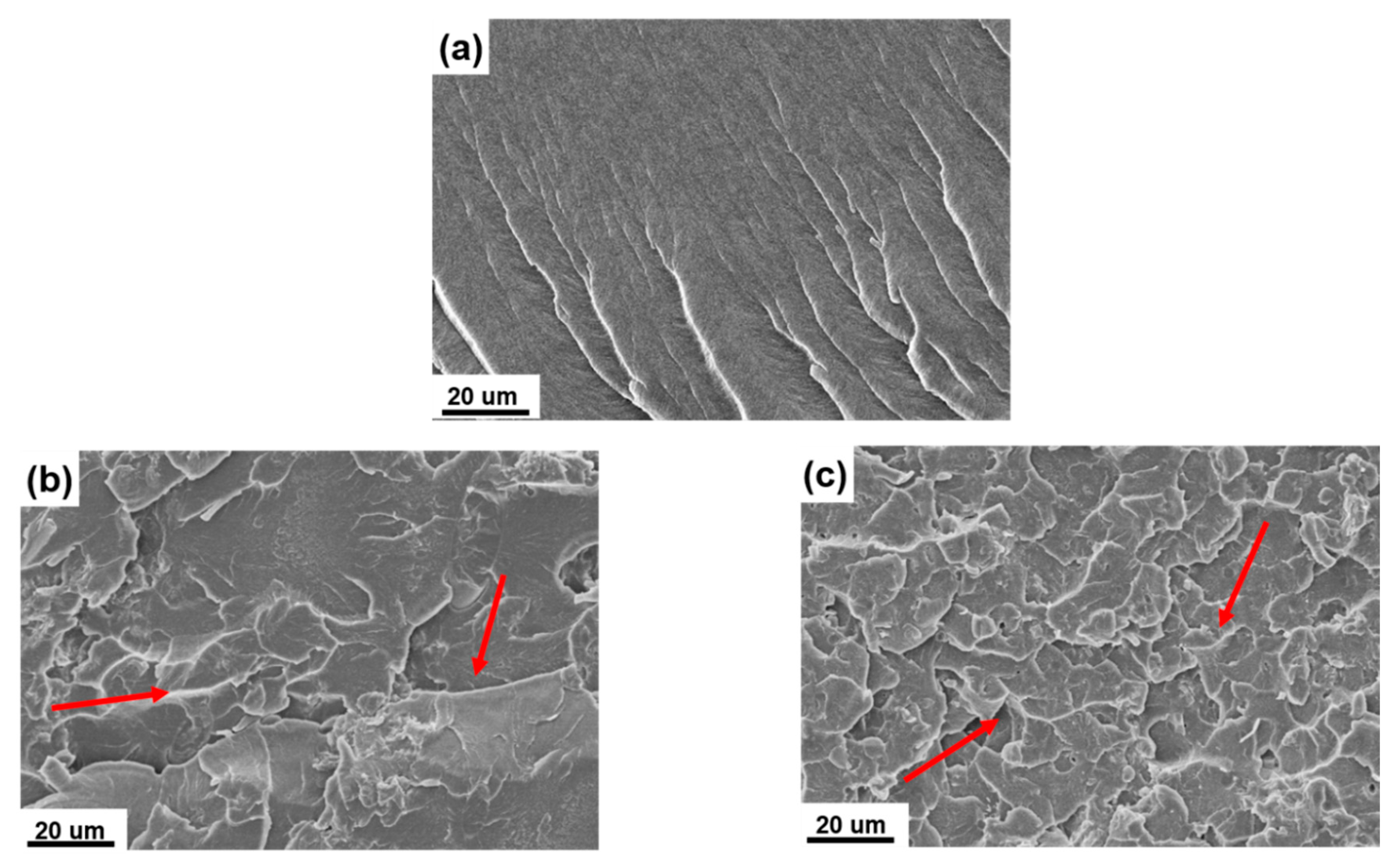 Polymers 12 02031 g006 Polymers 12 02031 g006