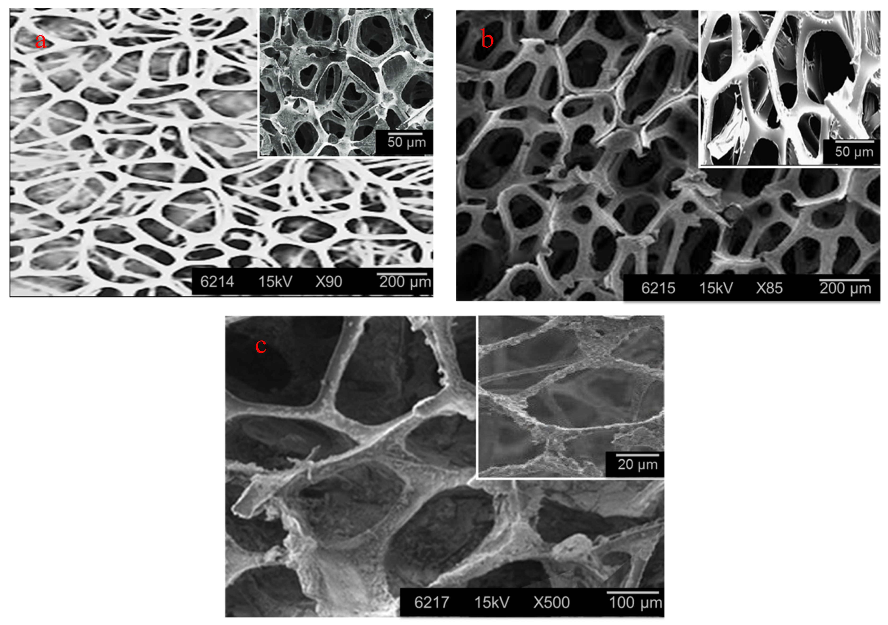 Polymers 12 02036 g003