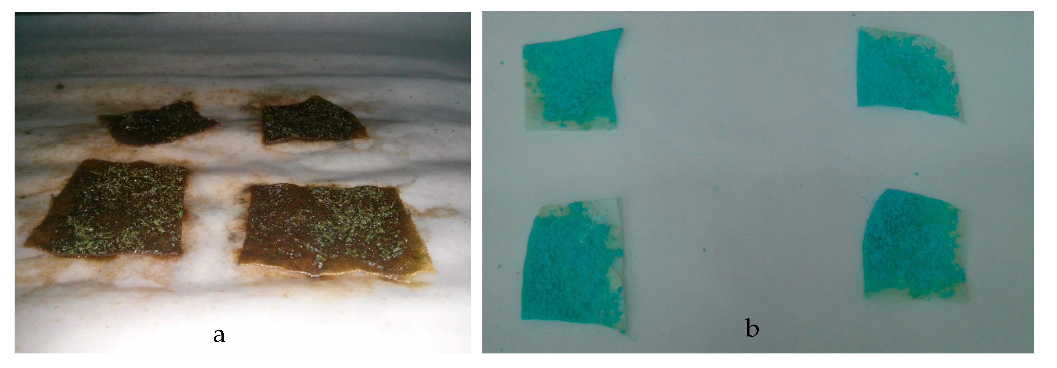 Polymers 12 02039 g009