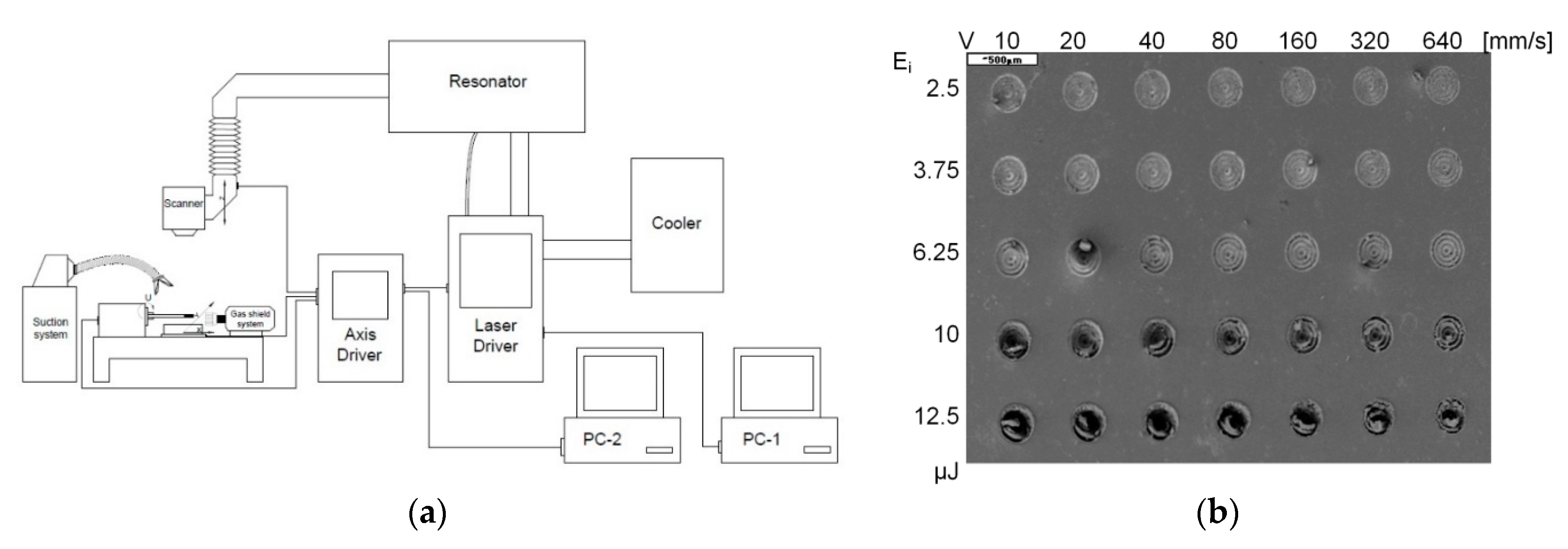 Polymers 12 02041 g002