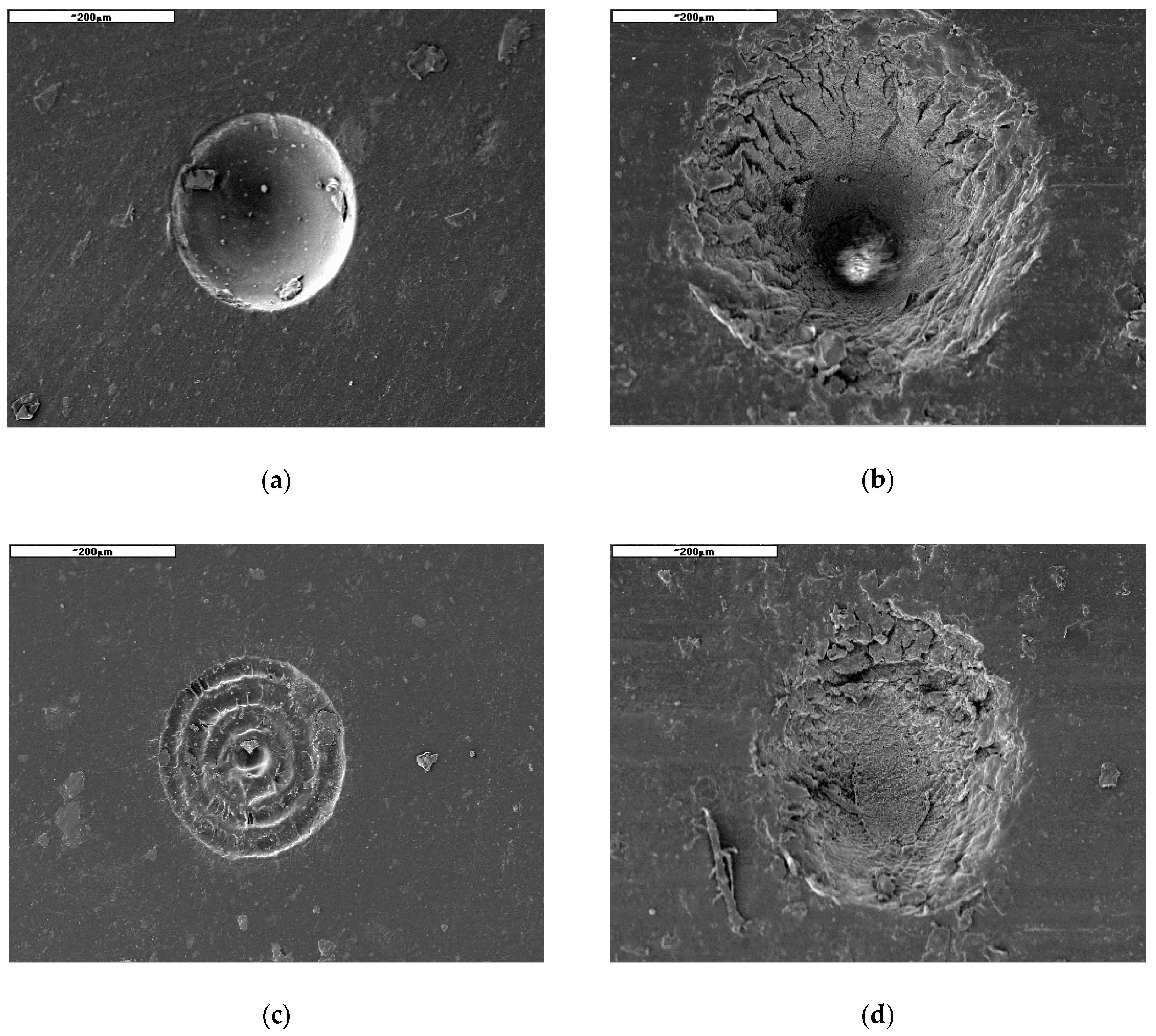 Polymers 12 02041 g004a