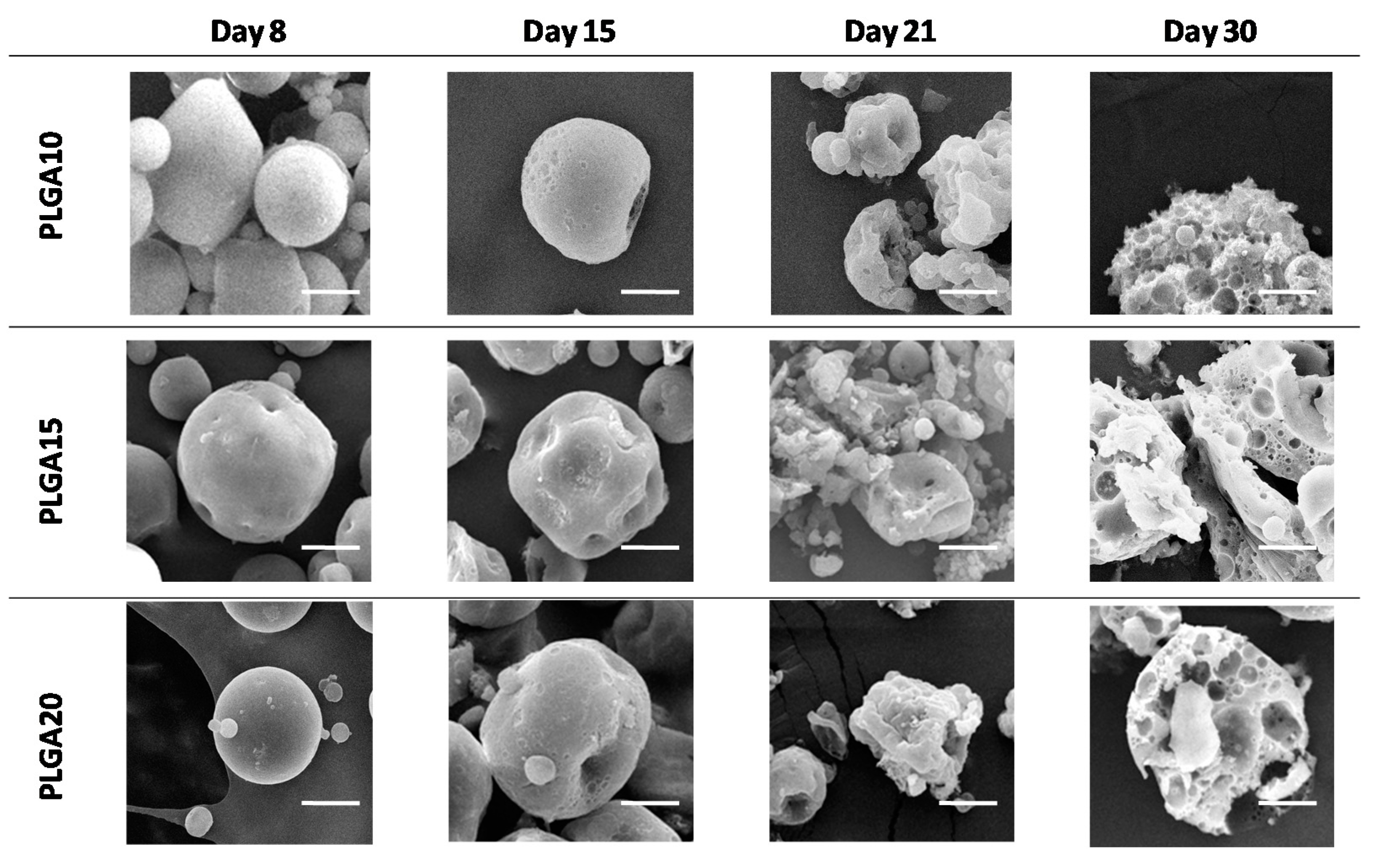 Polymers 12 02042 g001