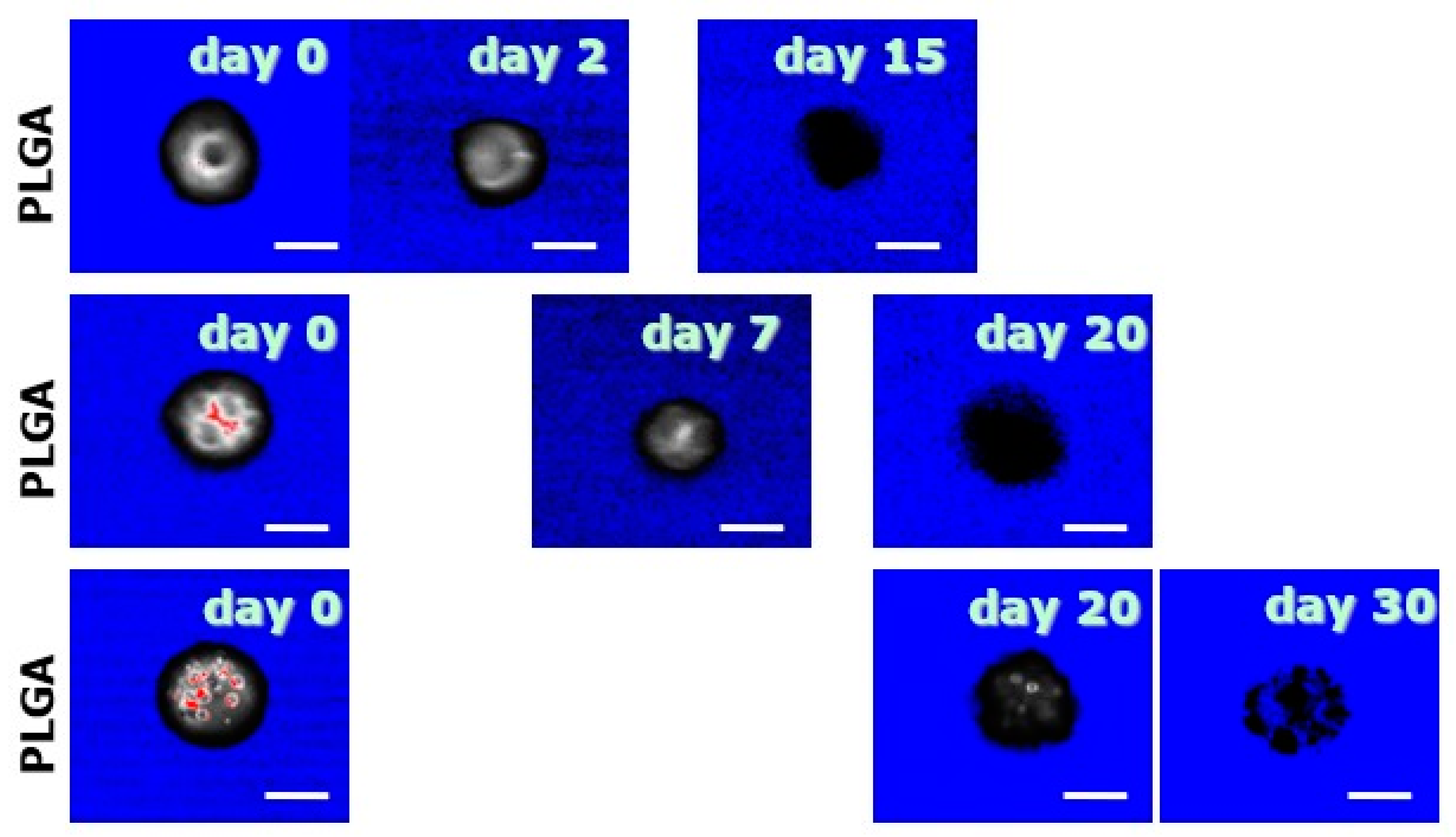 Polymers 12 02042 g003