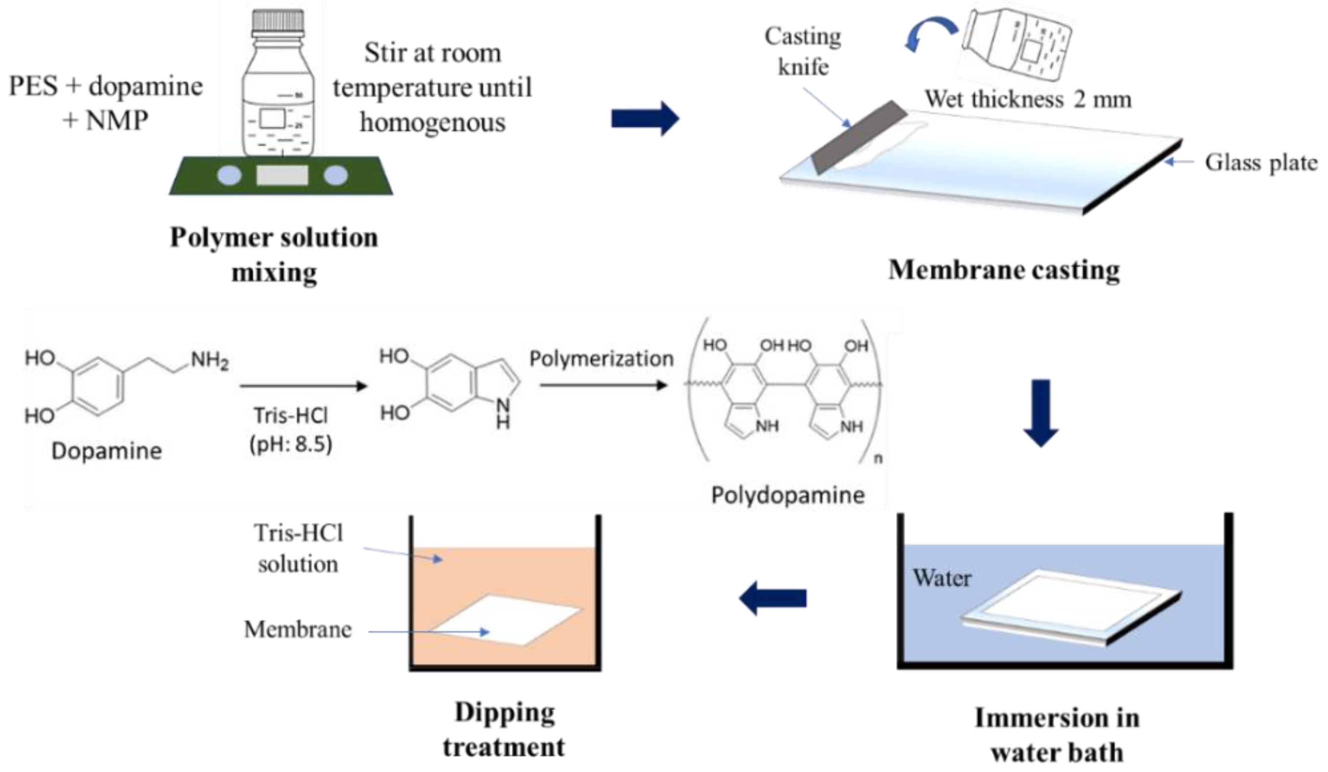 Polymers 12 02051 g001 Polymers 12 02051 g001
