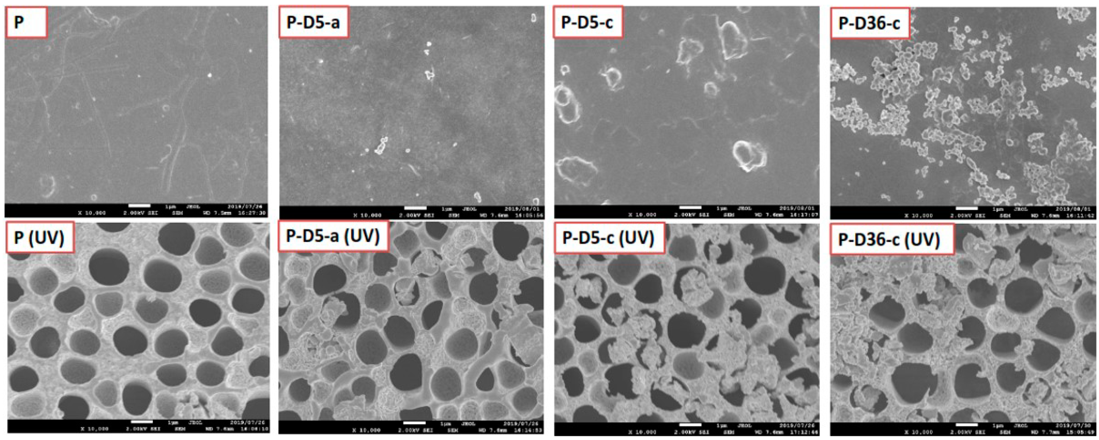 Polymers 12 02051 g007 Polymers 12 02051 g007