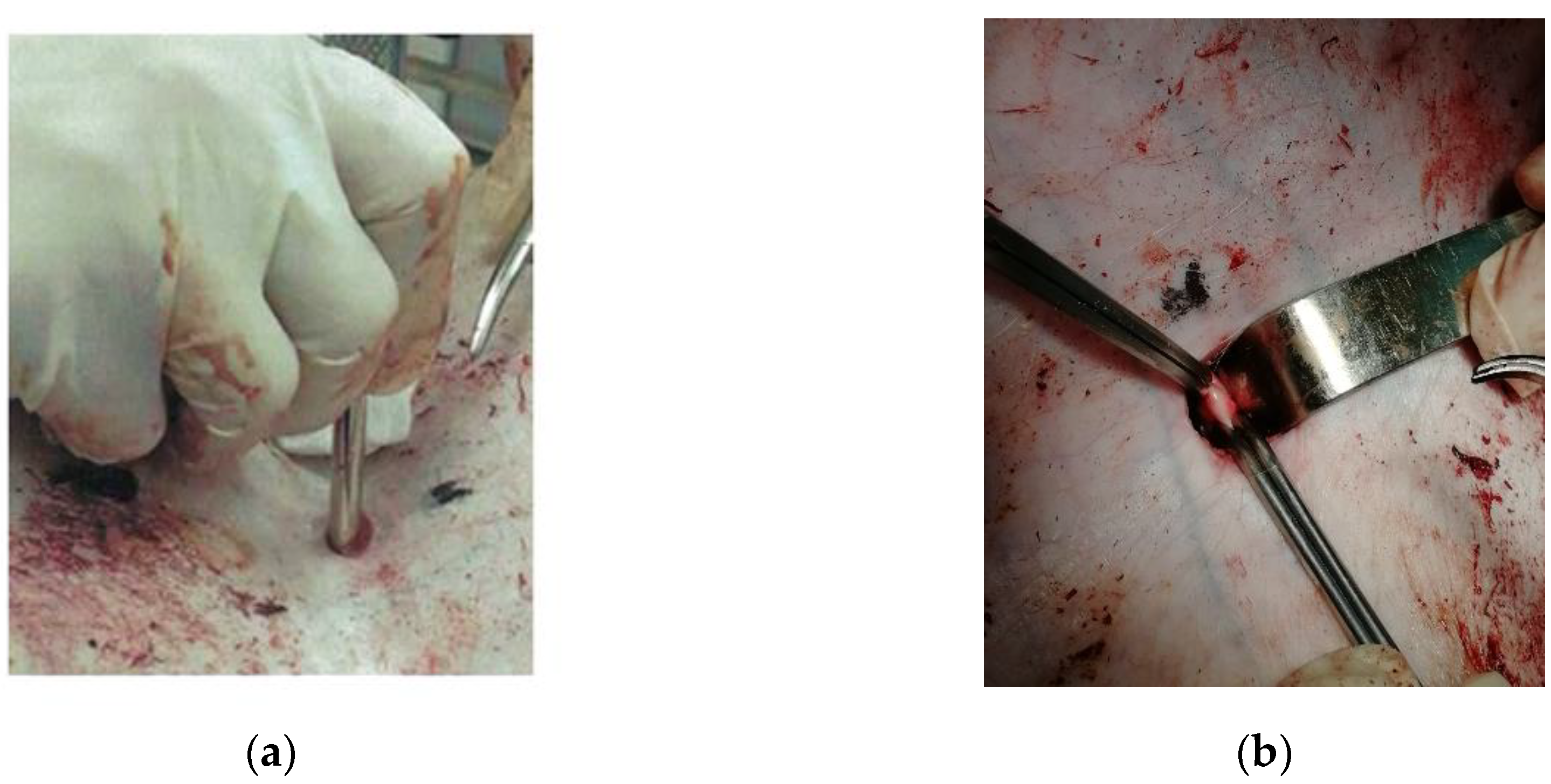 Polymers 12 02055 g003