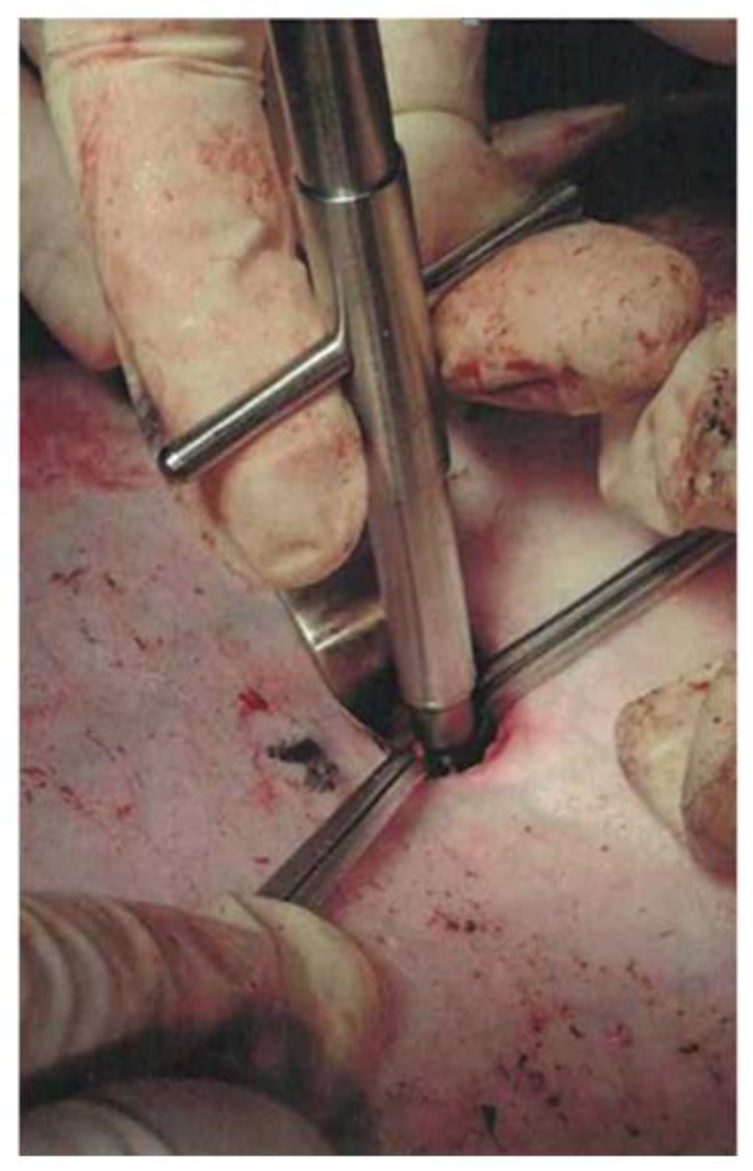 Polymers 12 02055 g004