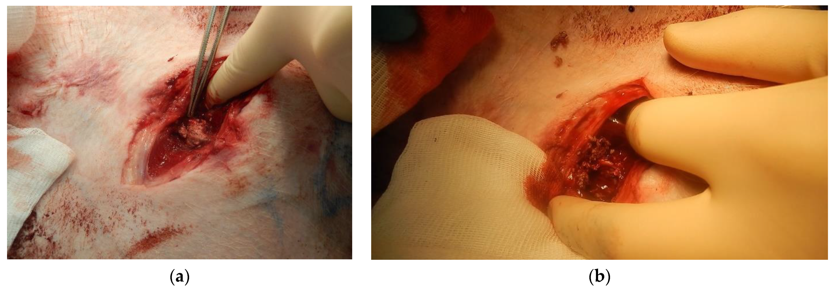 Polymers 12 02055 g008