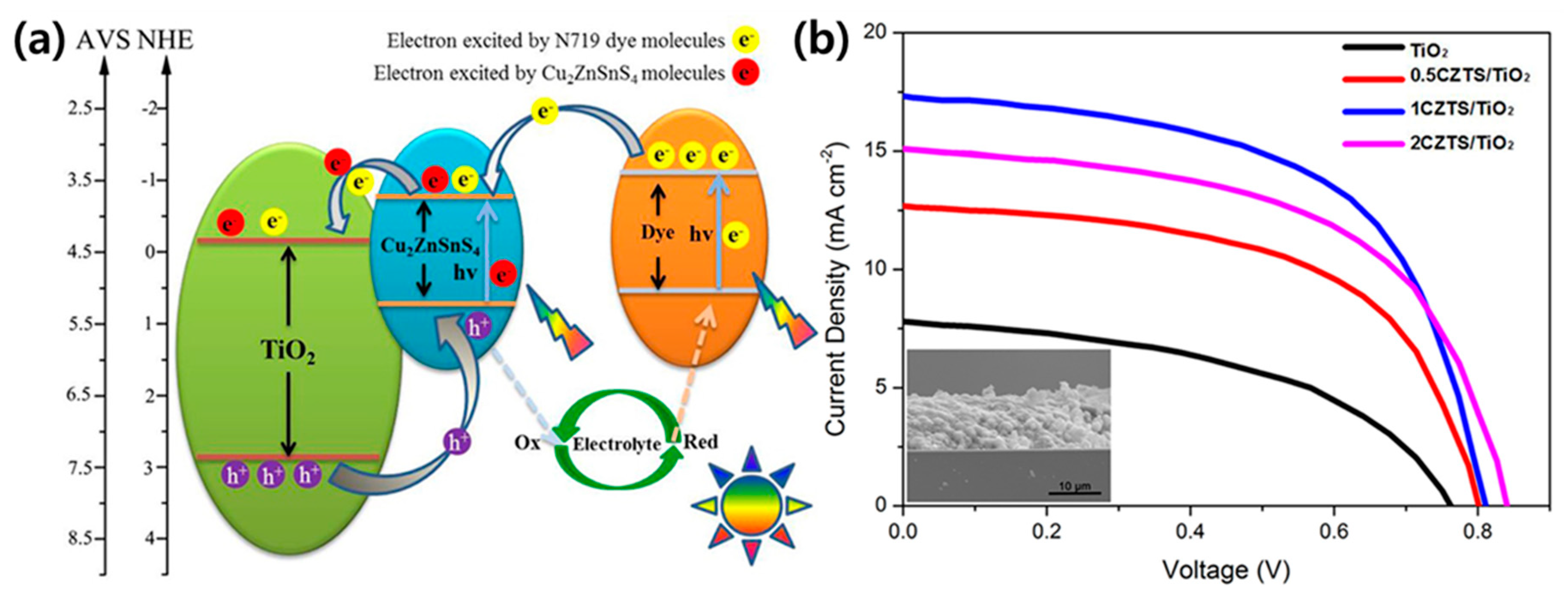 Polymers 12 02061 g004 Polymers 12 02061 g004
