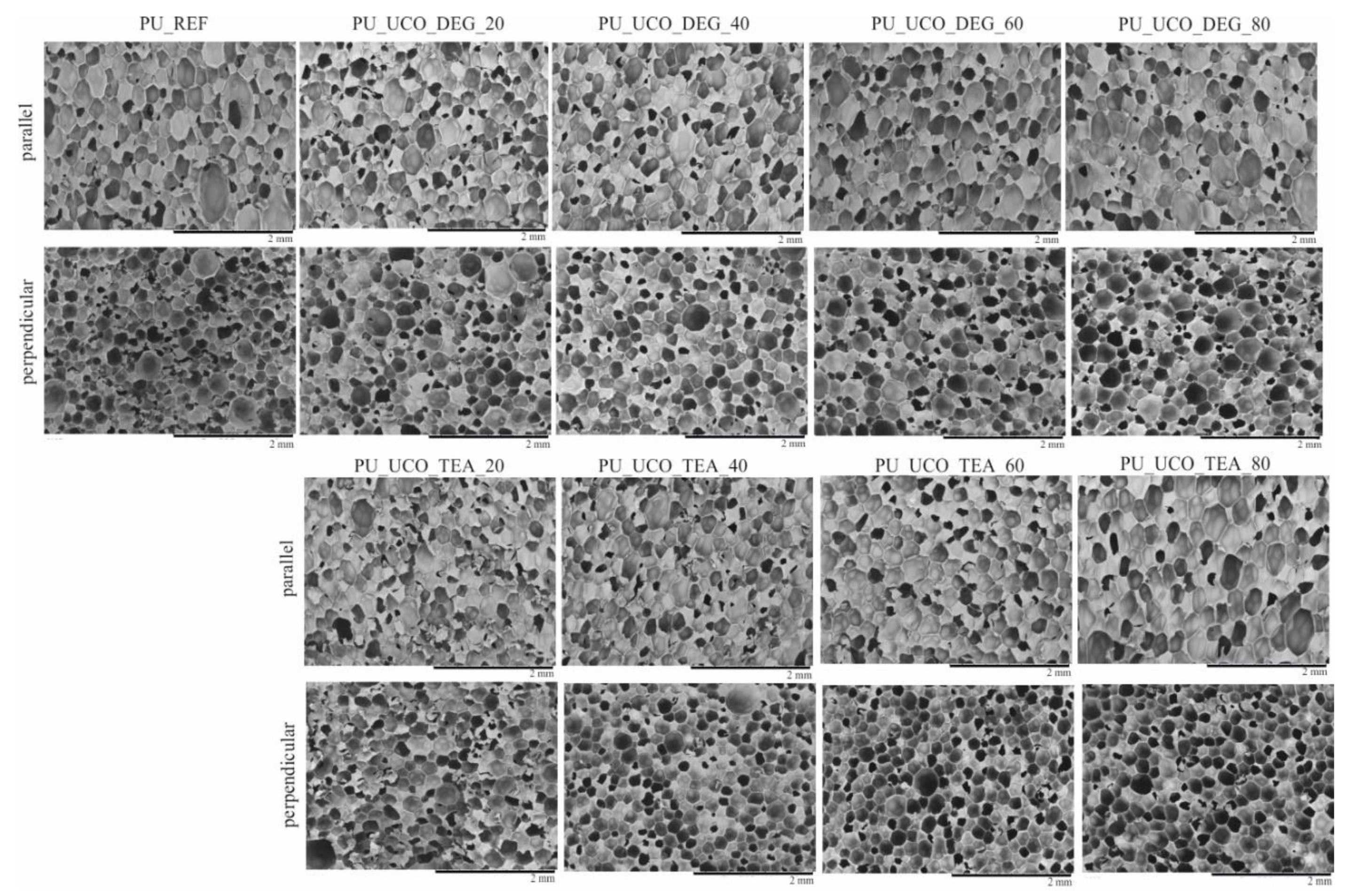 Polymers 12 02068 g005